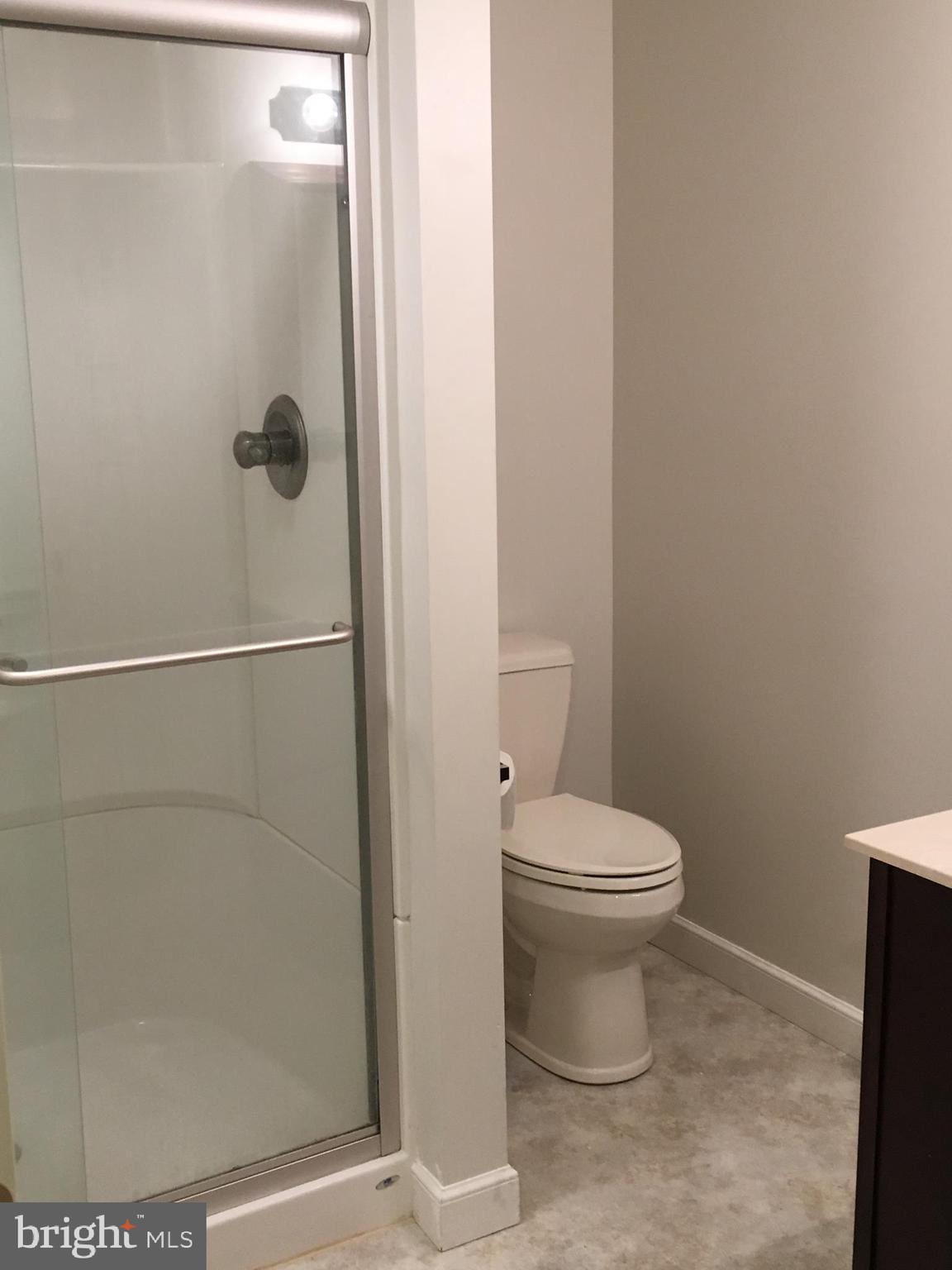738 Maple Grove Road New Holland, PA 17557 - Photo 9 of 10 Basement bathroom