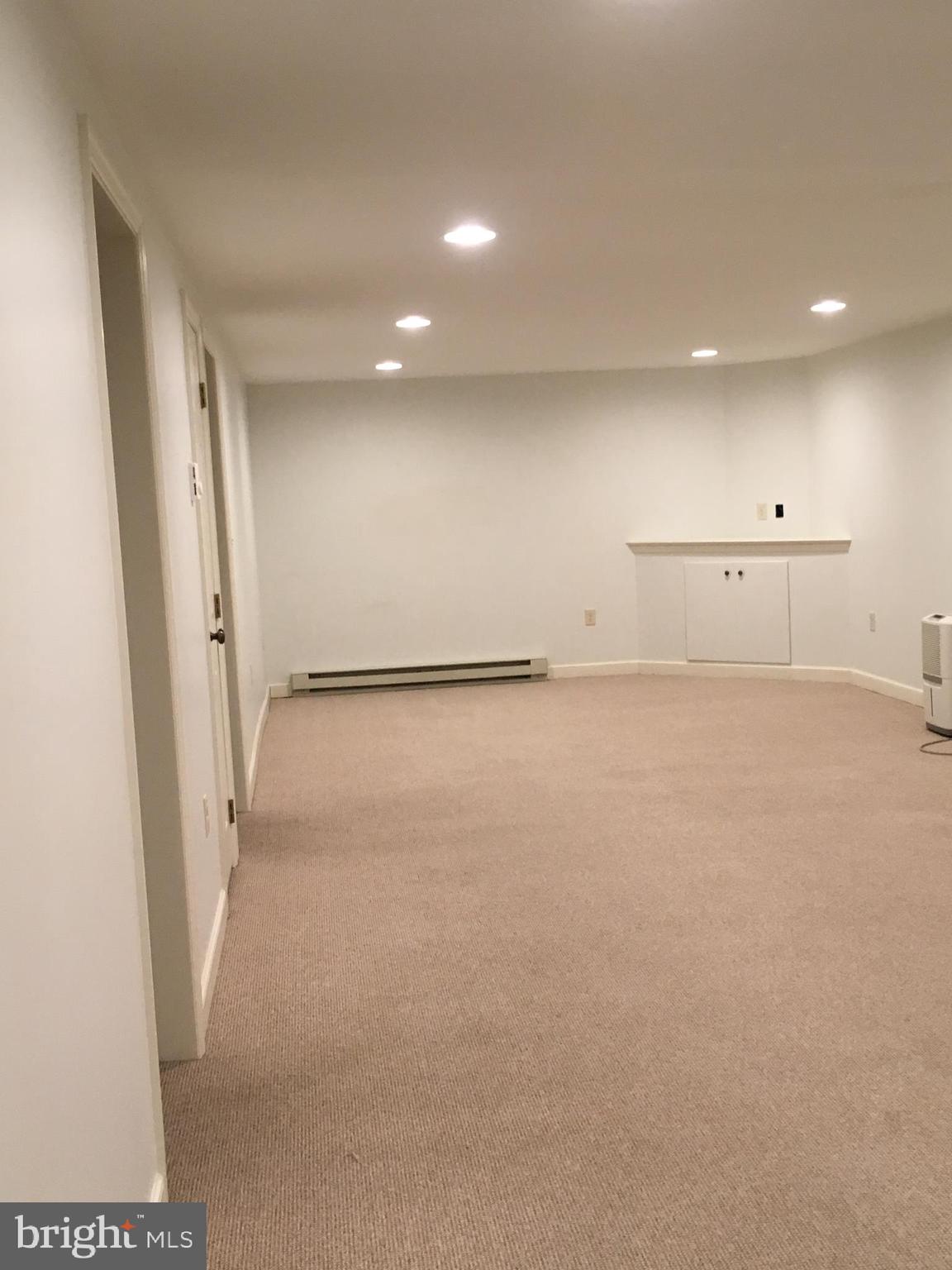 738 Maple Grove Road New Holland, PA 17557 - Photo 10 of 10 Basement family room