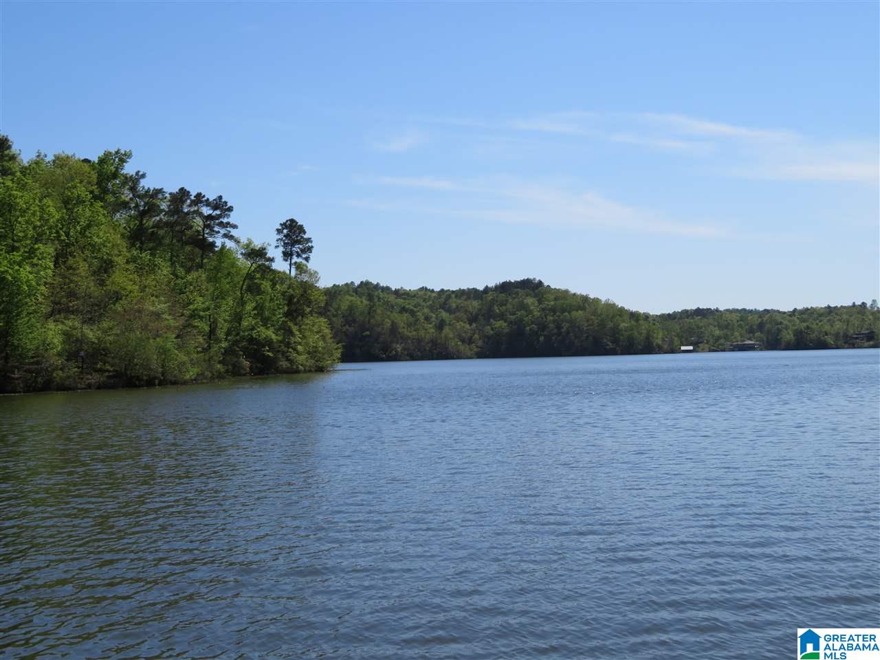 Lot 15 Eagle Point Trace, Unit 15 Alexander City, AL 35010 - Photo 6 of 11