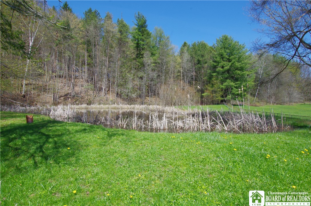 3588 Dutch Hollow Road Ellery, NY 14701 - Photo 4 of 33