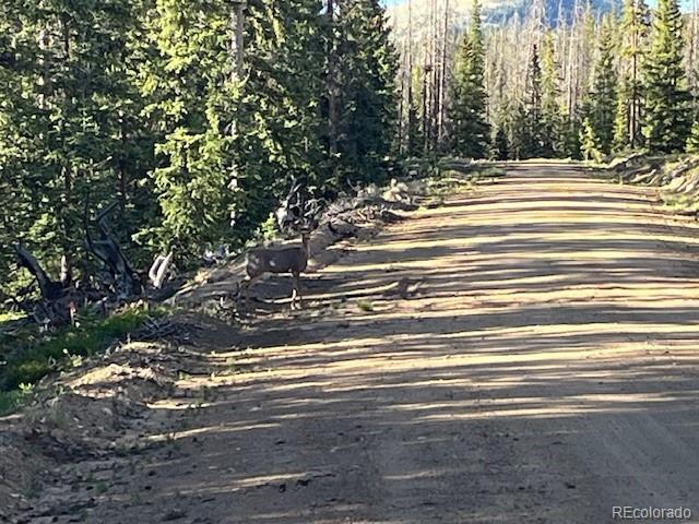 Lot 6525 Schlueter Road San Luis, CO 81152 - Photo 5 of 21