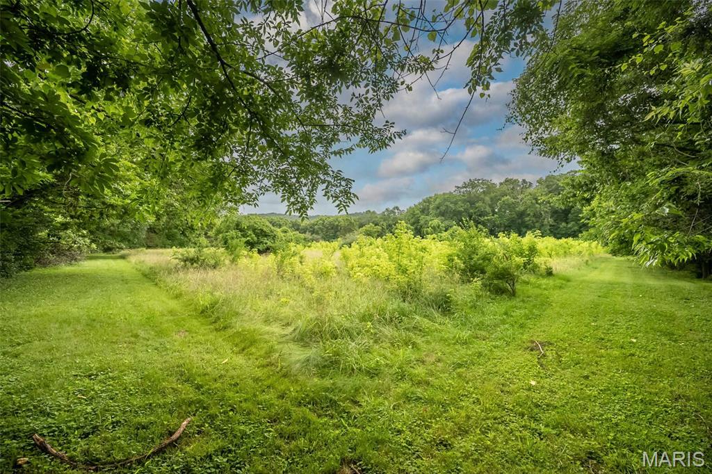 3037 Upper Moss Hollow Road Barnhart, MO 63012 - Photo 49 of 73
