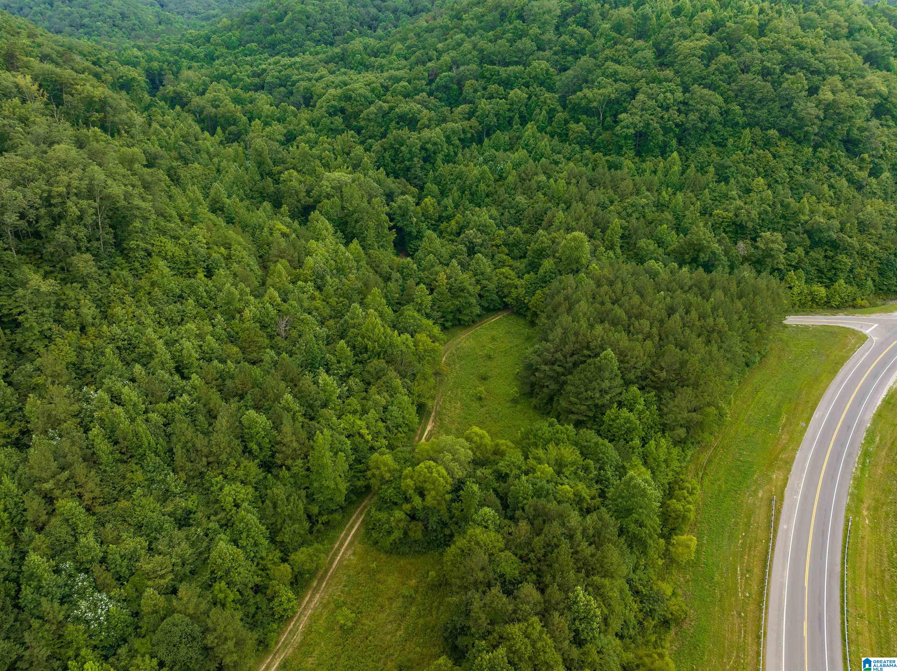 81 Frozen Hollow Road, Unit 32 Carbon Hill, AL 35549 - Photo 20 of 42
