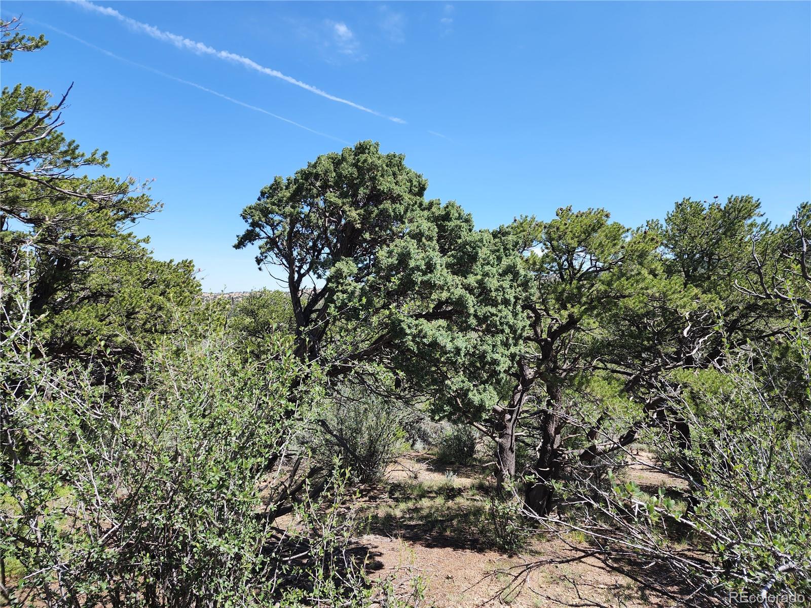 2225 Plata Road Fort Garland, CO 81133 - Photo 20 of 30 Gallery Image 20