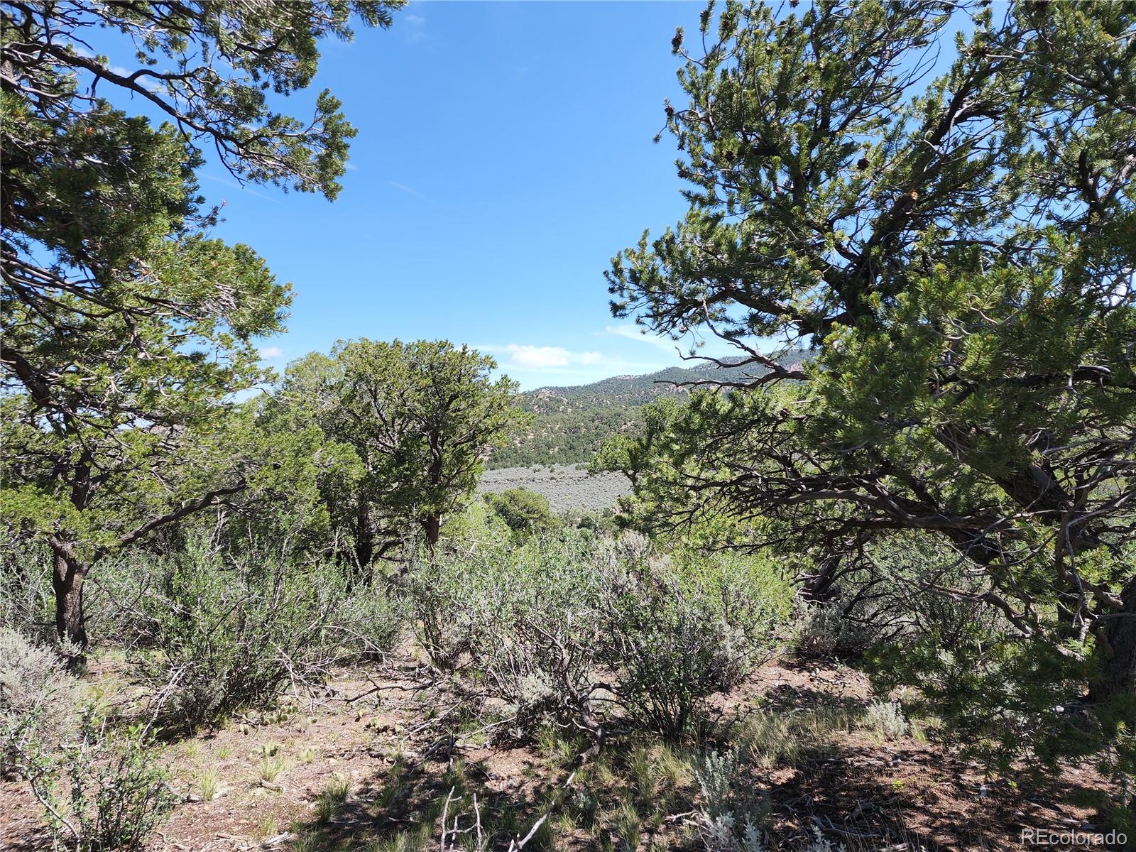 2225 Plata Road Fort Garland, CO 81133 - Photo 23 of 30 Gallery Image 23
