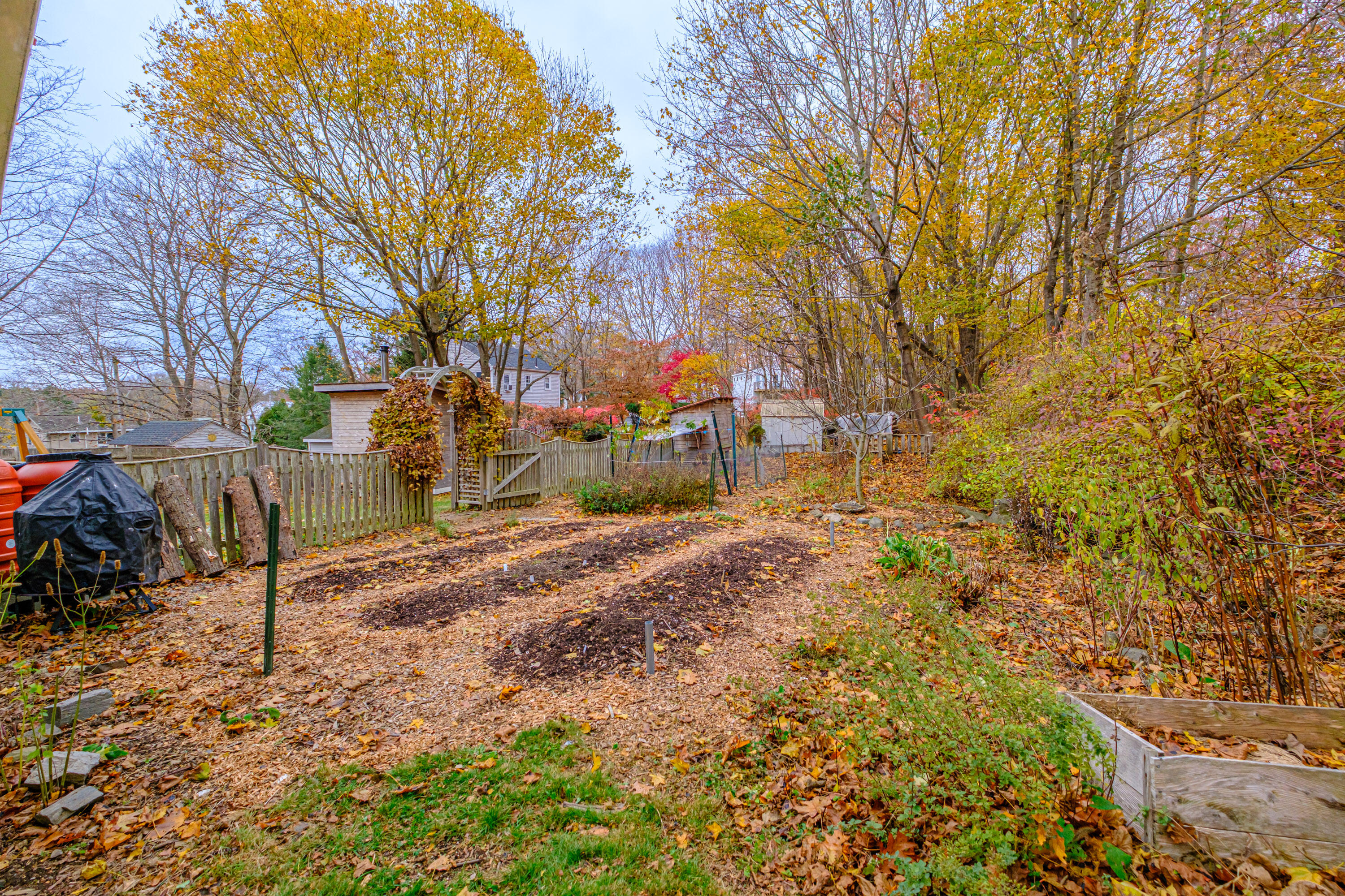 533 Mitchell Road Cape Elizabeth, ME 04107 - Photo 53 of 56 20251112gp-61015