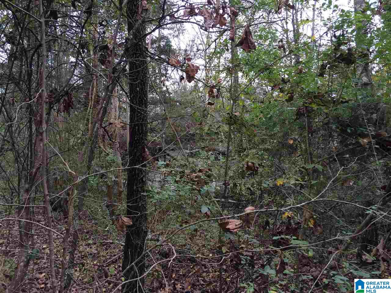 Posey Lane, Unit 11 Union Grove, AL 35175 - Photo 12 of 12
