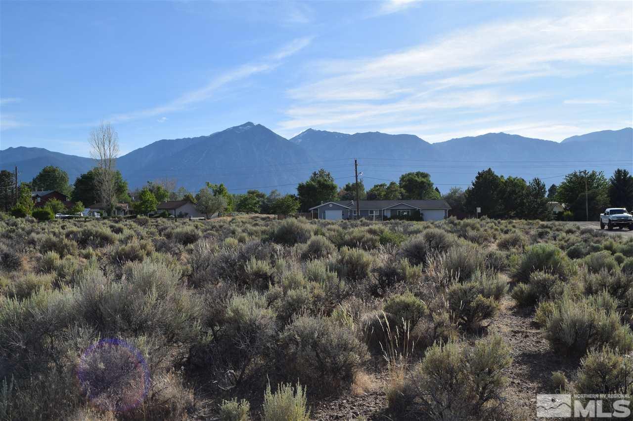 1035 Dresslerville Road Gardnerville, NV 89460 - Photo 3 of 7 Photo 3