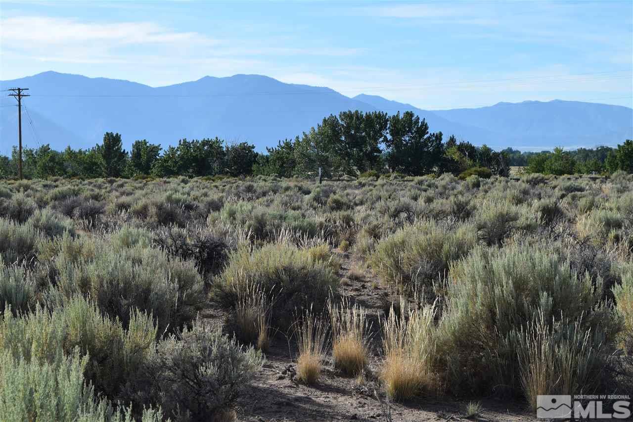 1035 Dresslerville Road Gardnerville, NV 89460 - Photo 6 of 7 Photo 6
