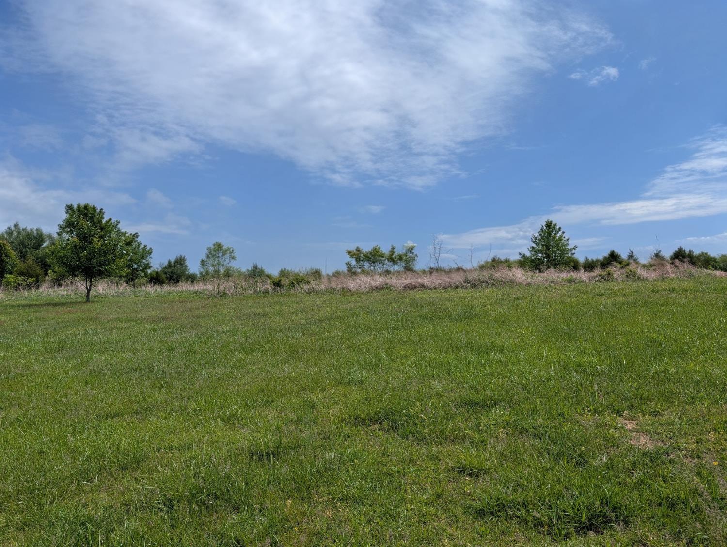 0 Longbranch Road Moores Hill, IN 47032 - Photo 10 of 25
