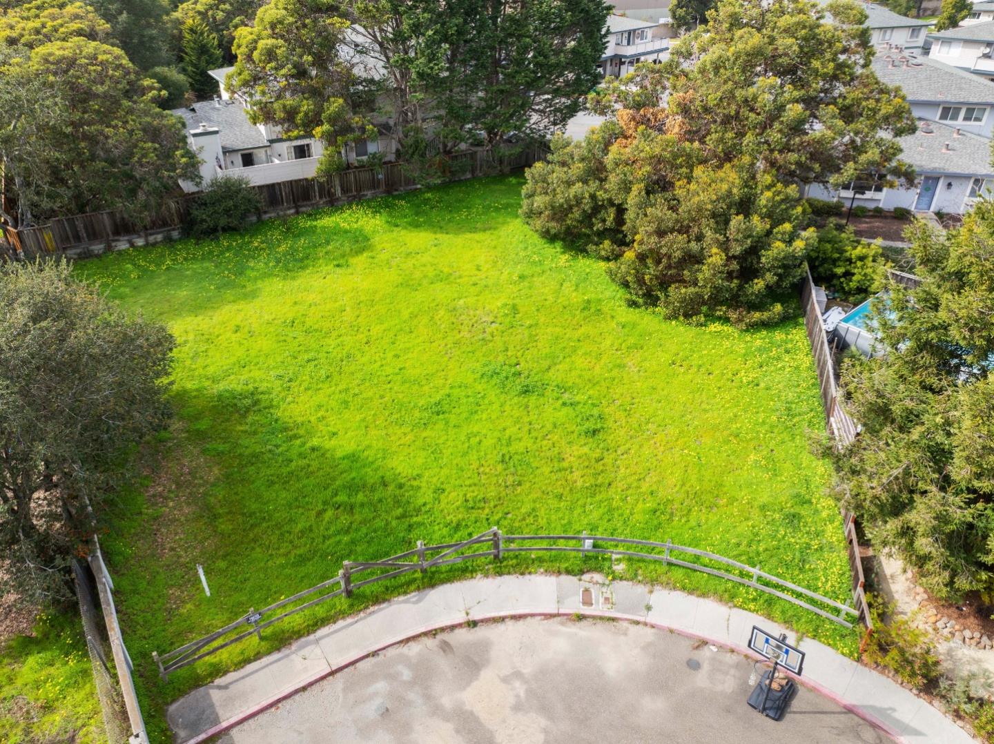 4237 Starboard Court Soquel, CA 95073 - Photo 21 of 26 a view of a backyard with plants and large trees