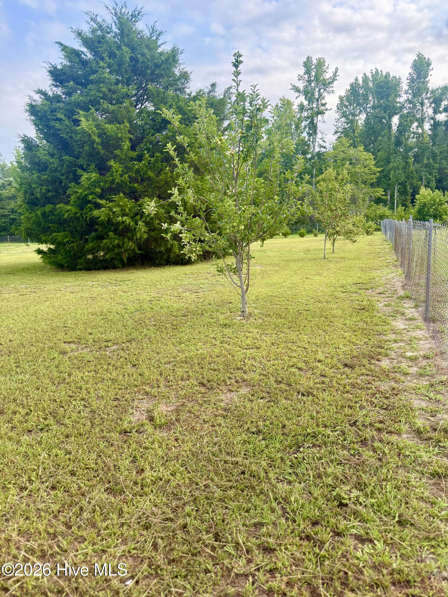 2487 Hoods Chapel Road, Unit LOT B Blythe, GA 30805 - Photo 17 of 17