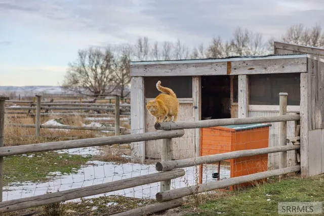 $1,340,000 | 4434 East 150 Road North, Rigby, ID 83442