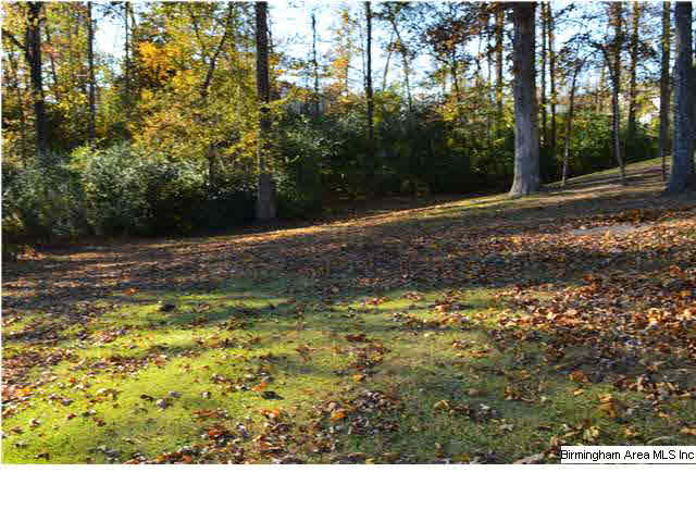 6997 Pannell Road Trussville, AL 35173 - Photo 27 of 28