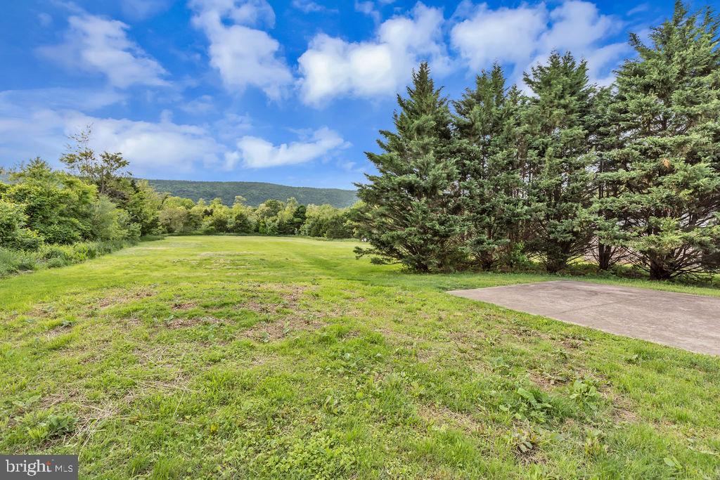 12335 Back Road Toms Brook, VA 22660 - Photo 4 of 32 View from rear of Home