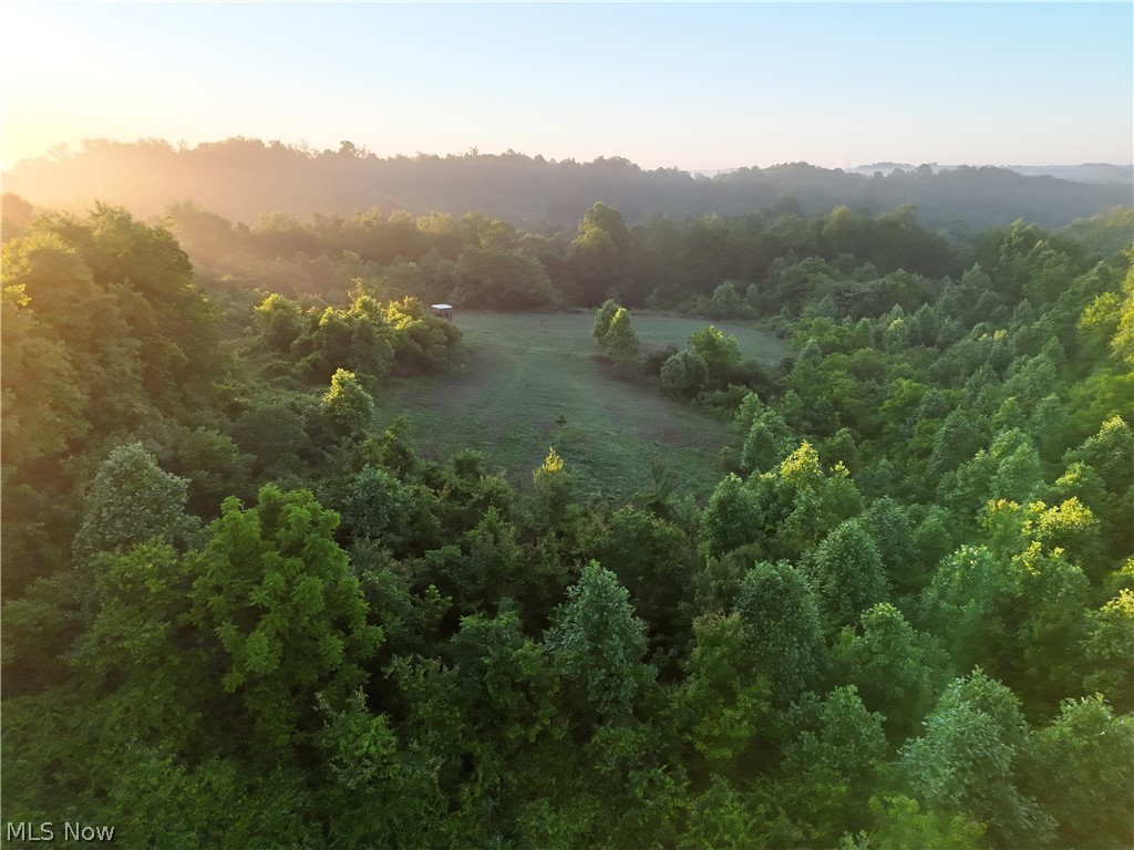 Sykes Ridge Road Clarington, OH 43915 - Photo 40 of 42
