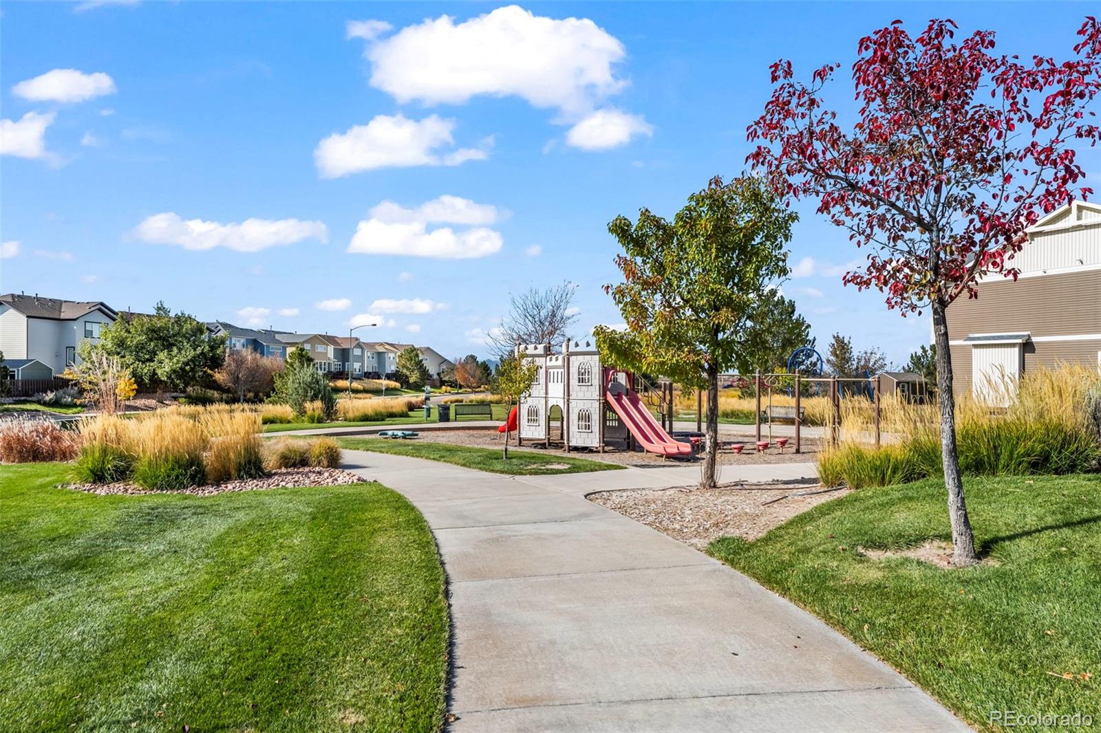 10985 Wheeling Street Commerce City, CO 80022 - Photo 41 of 45 a view of a park with swings and slides