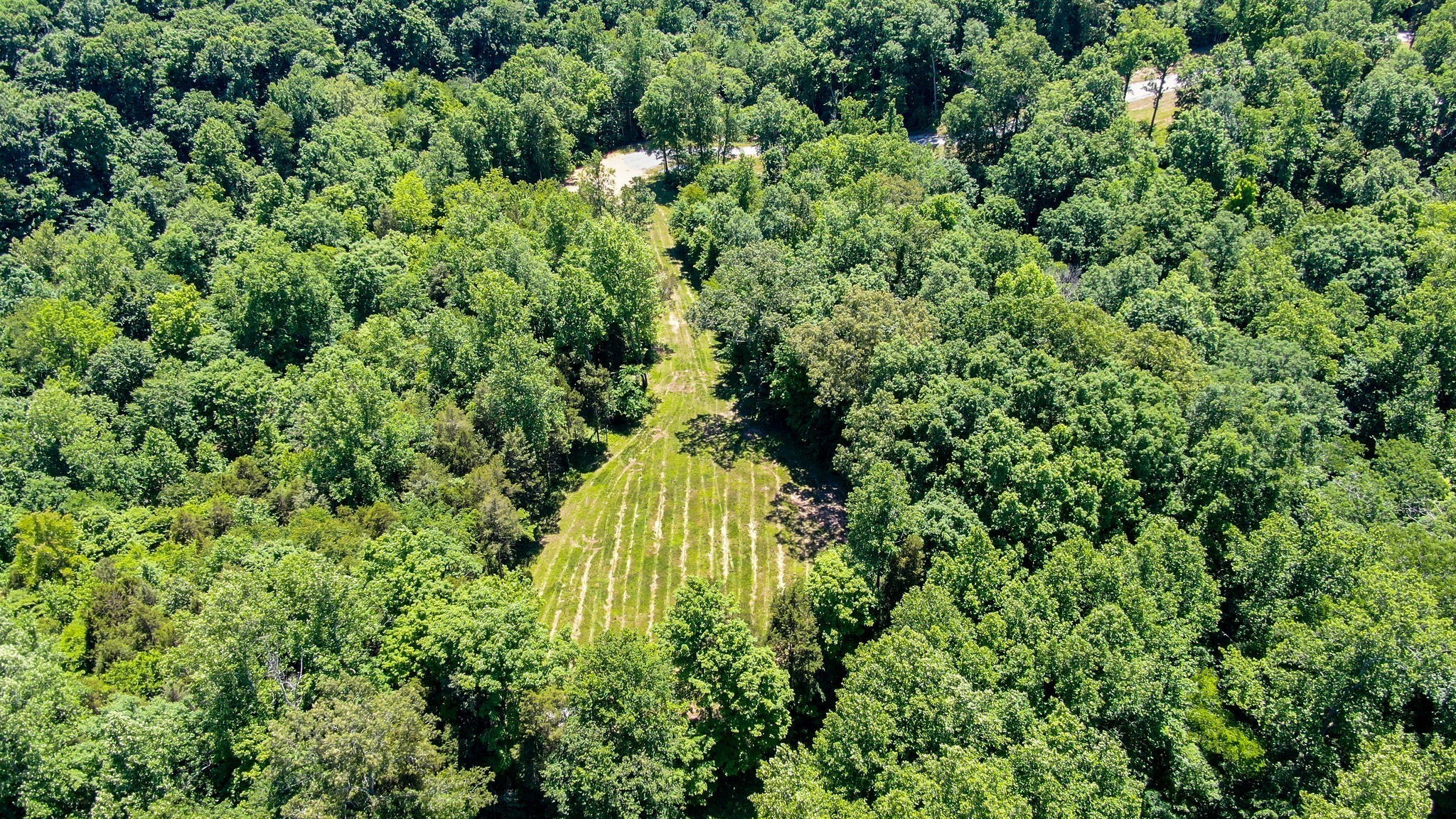 8016 Poplar Ridge Lane Primm Springs, TN 38476 - Photo 13 of 22 a view of a garden