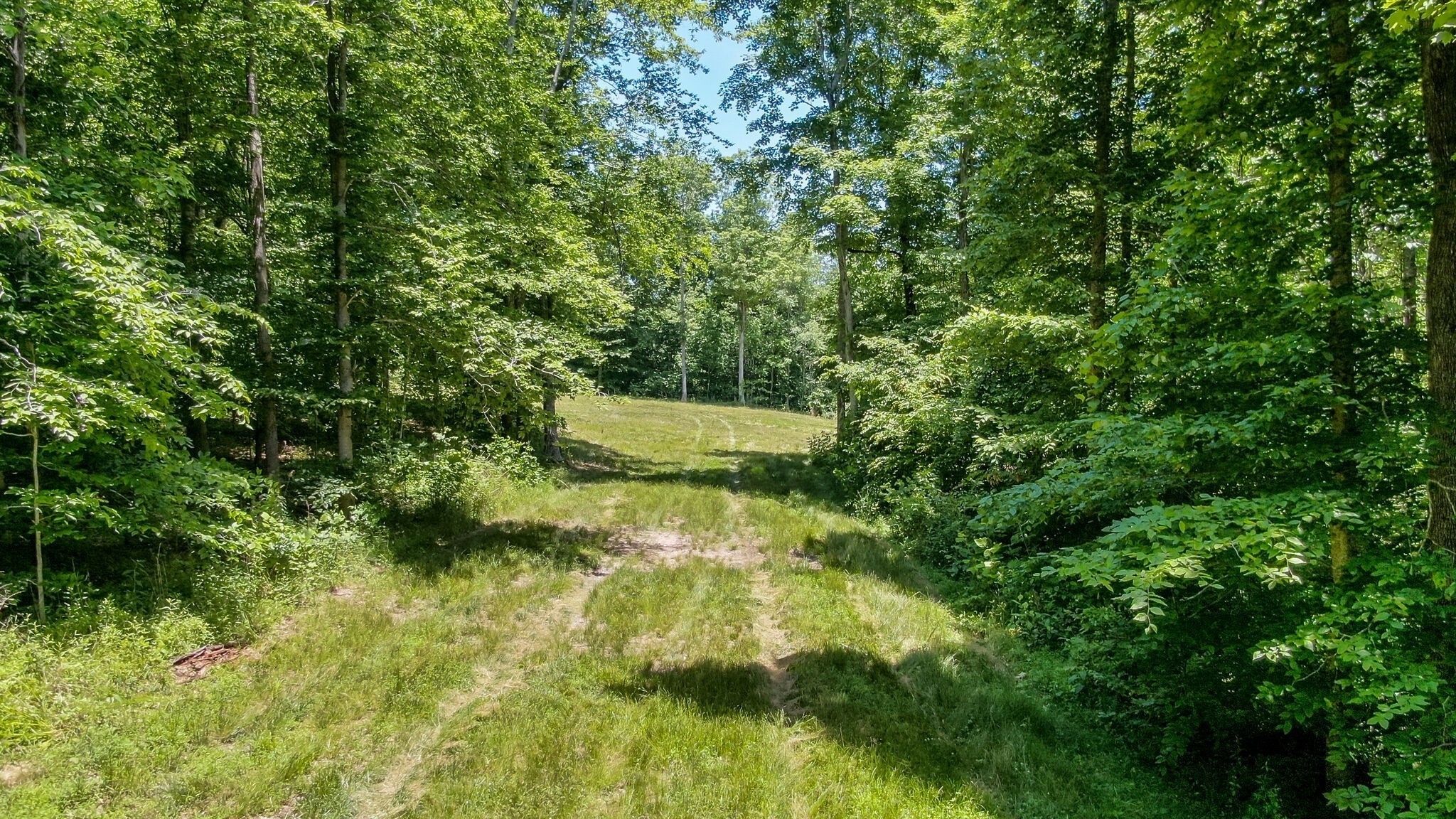 8016 Poplar Ridge Lane Primm Springs, TN 38476 - Photo 15 of 22 a view of a garden