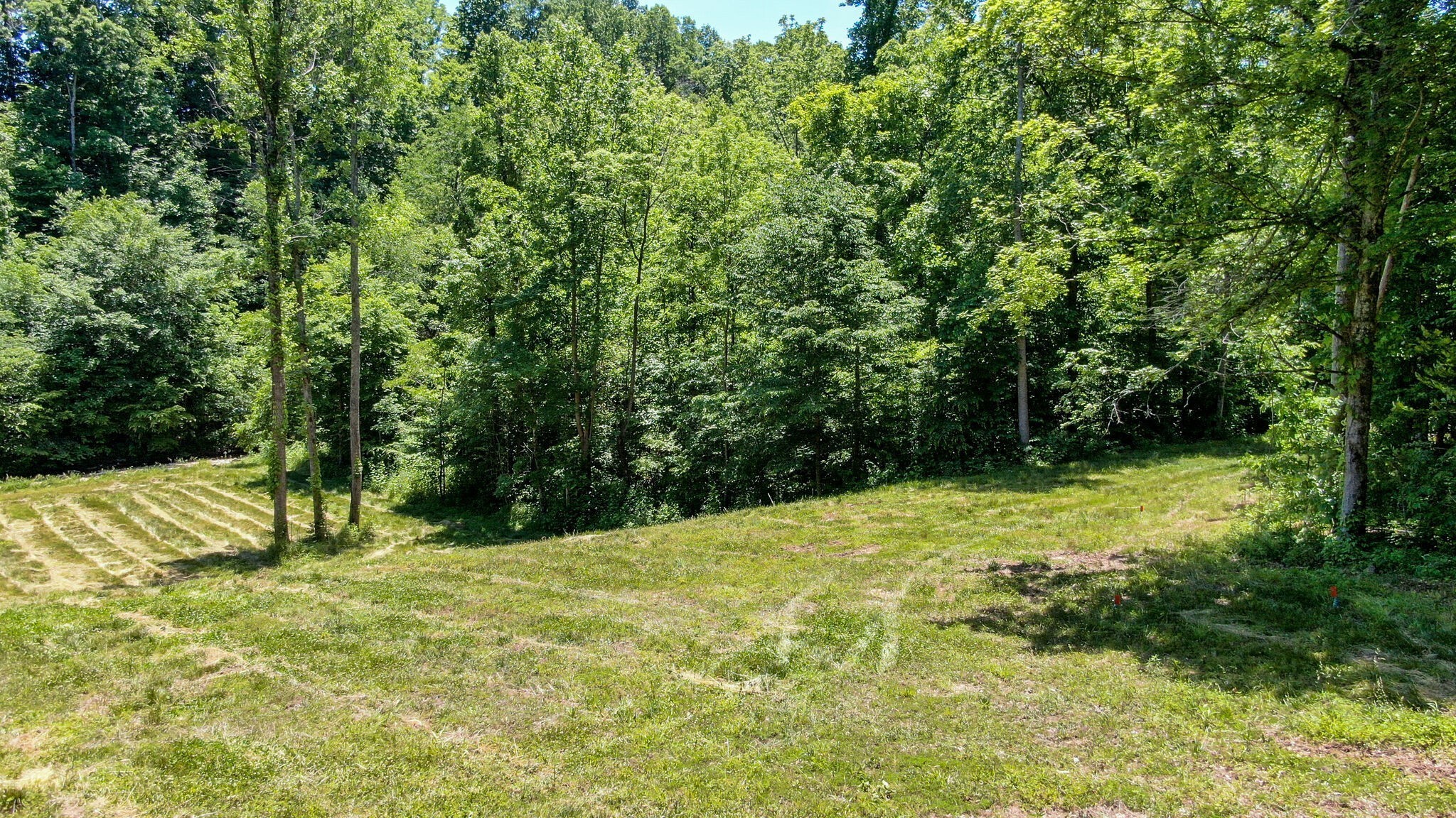 8016 Poplar Ridge Lane Primm Springs, TN 38476 - Photo 16 of 22 a view of outdoor space with trees