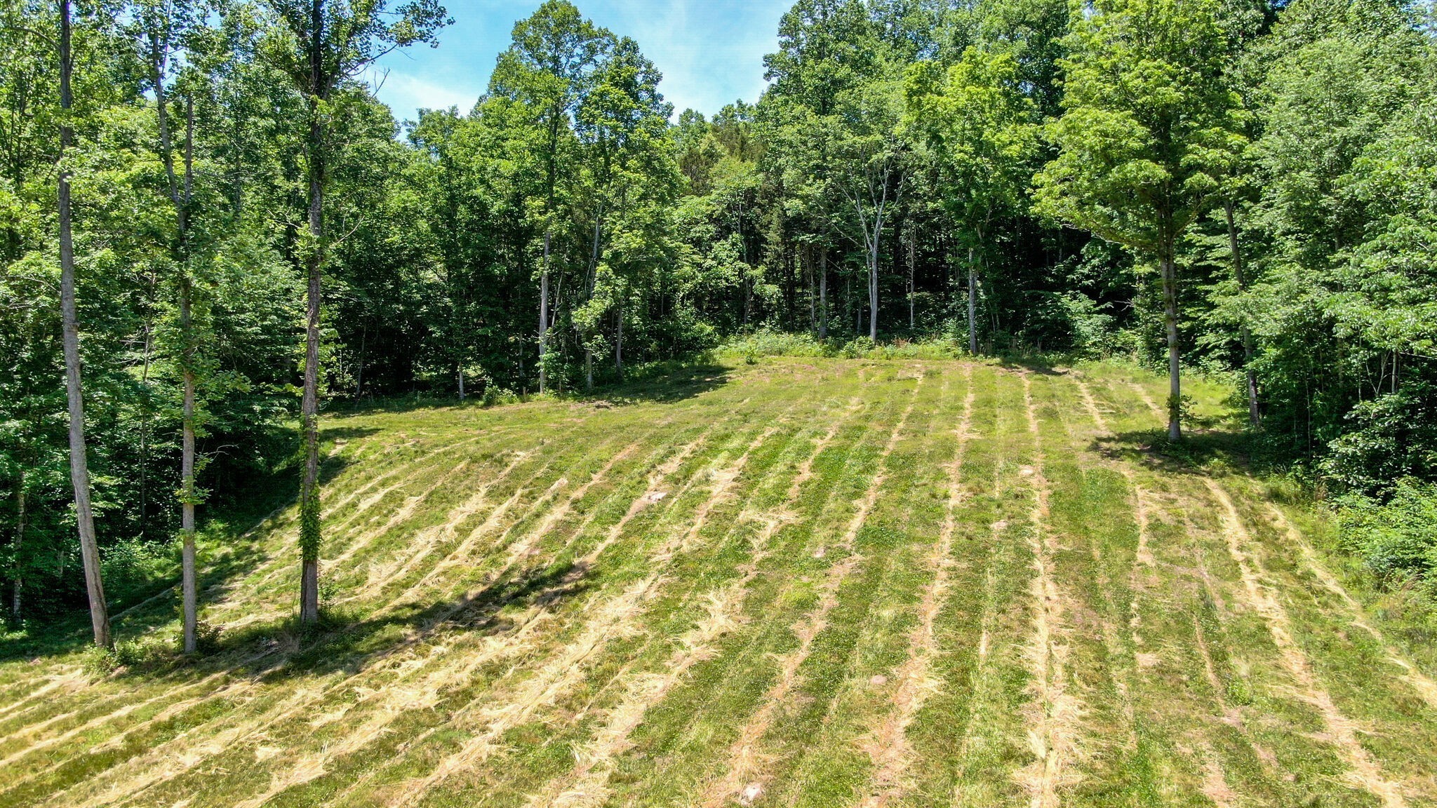 8016 Poplar Ridge Lane Primm Springs, TN 38476 - Photo 18 of 22 a view of swimming pool