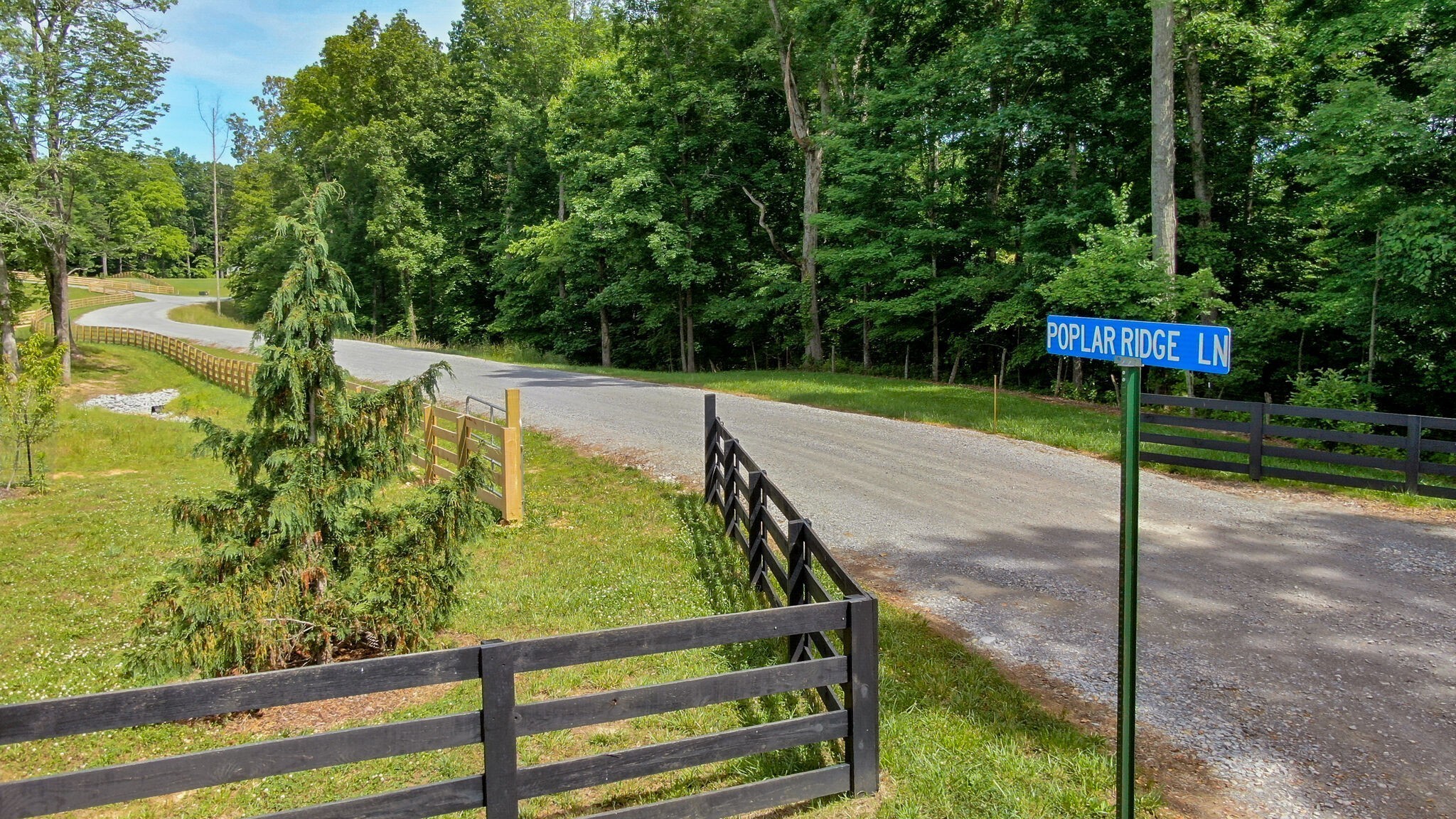 8016 Poplar Ridge Lane Primm Springs, TN 38476 - Photo 3 of 22 a view of a garden with plants