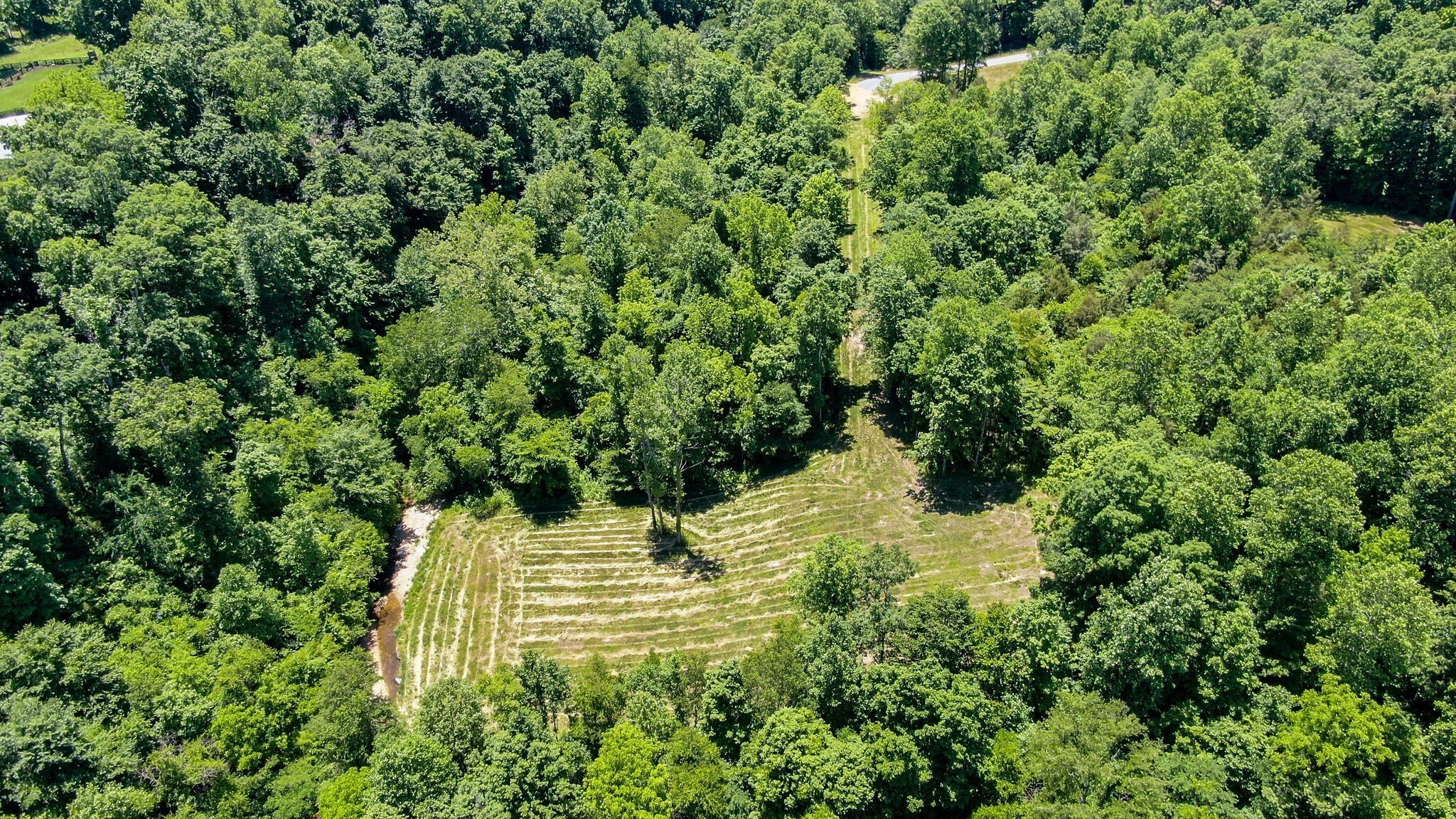 8016 Poplar Ridge Lane Primm Springs, TN 38476 - Photo 21 of 22 a view of a garden with a house