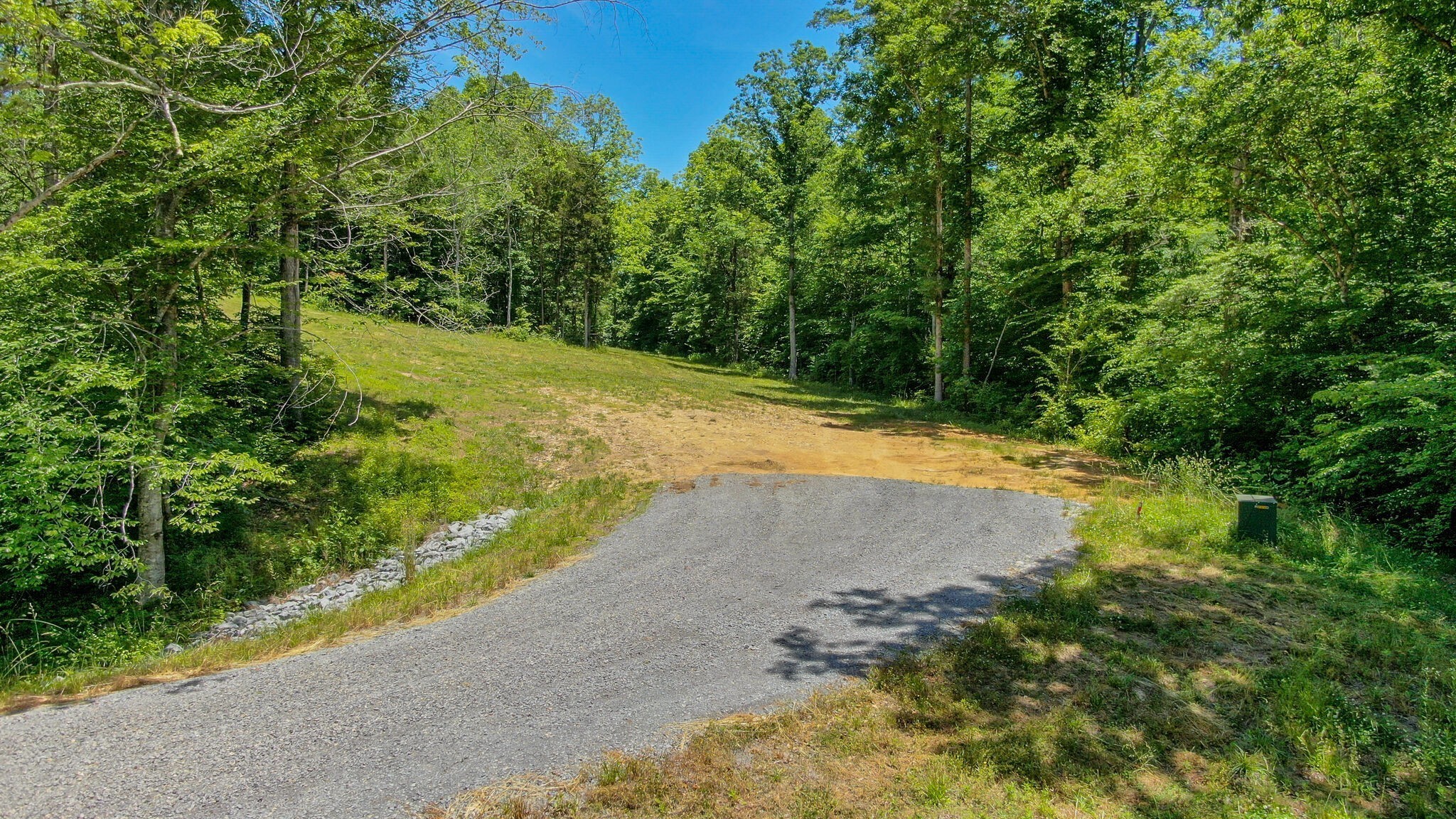 8016 Poplar Ridge Lane Primm Springs, TN 38476 - Photo 6 of 22 a view of a yard with trees