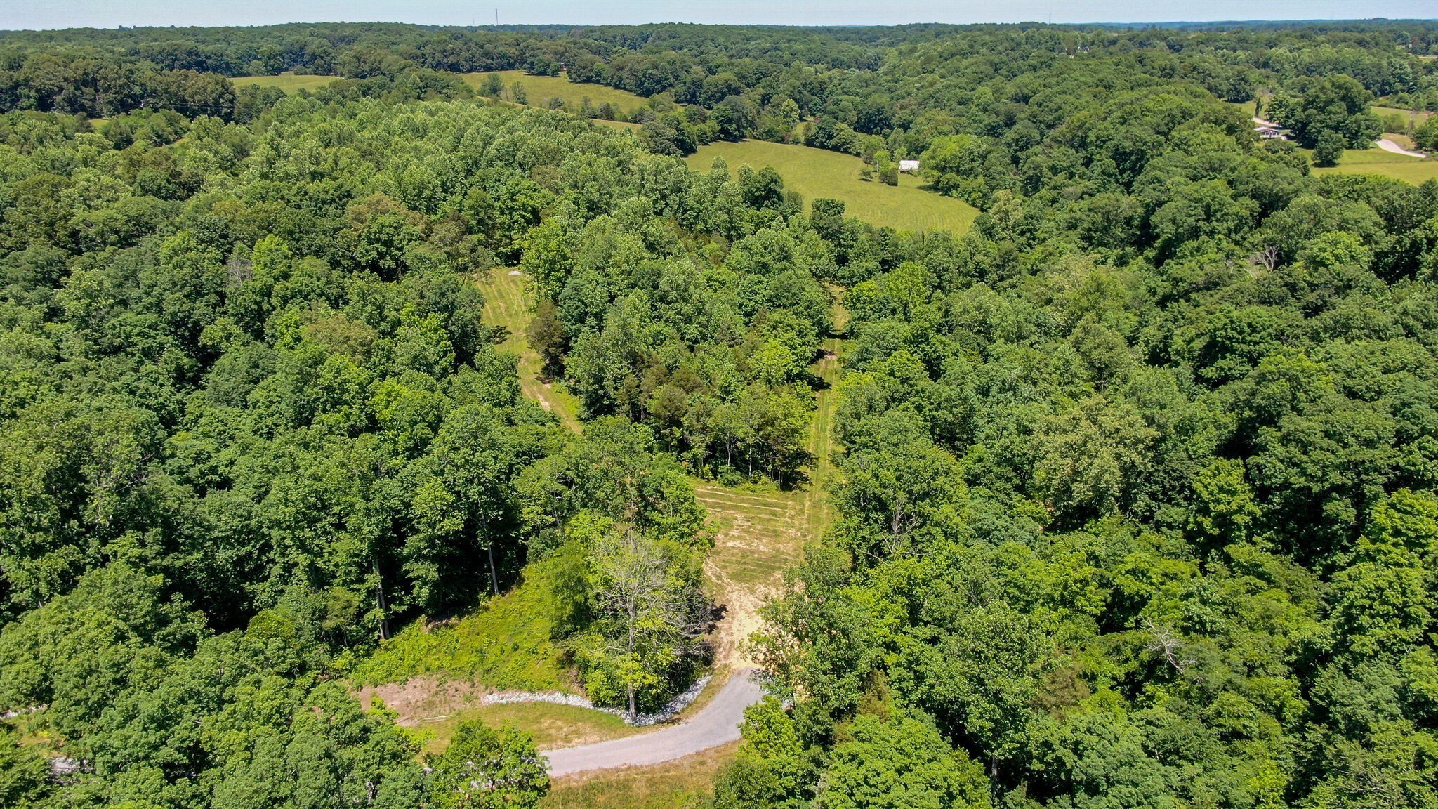 8016 Poplar Ridge Lane Primm Springs, TN 38476 - Photo 7 of 22 an aerial view of residential house with outdoor space