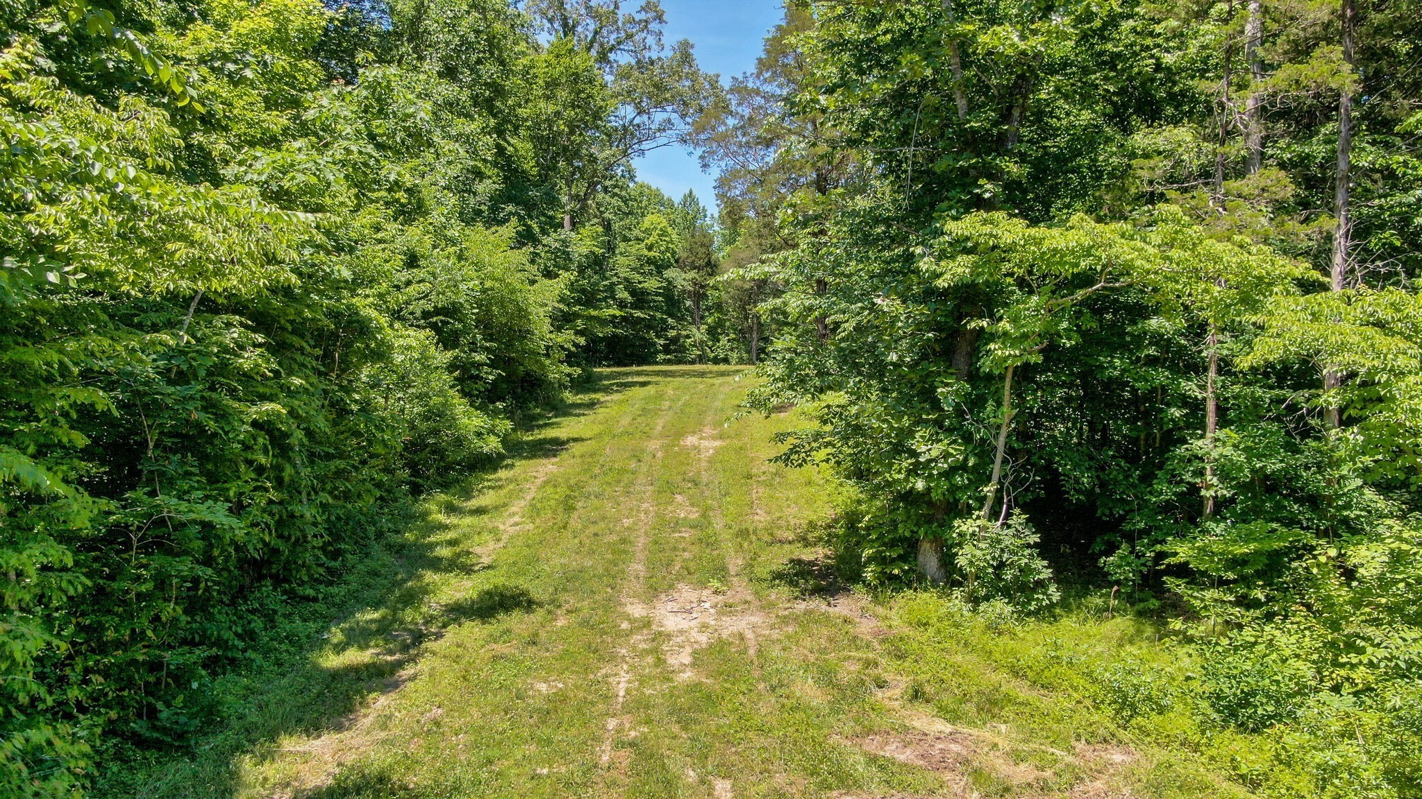 8016 Poplar Ridge Lane Primm Springs, TN 38476 - Photo 8 of 22 a view of yard with green space