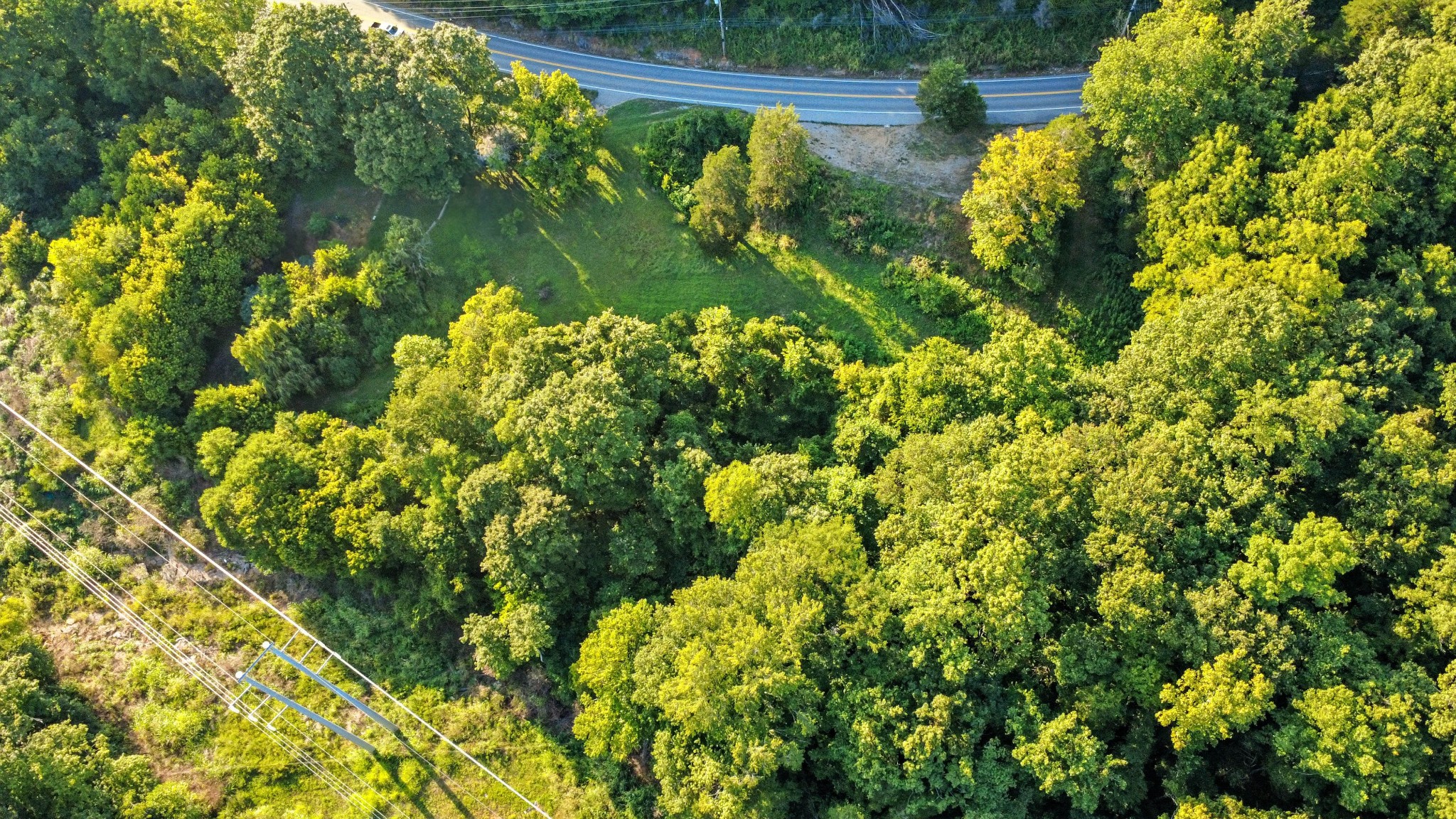 1986 Highway 76 Adams, TN 37010 - Photo 11 of 17 a view of a garden