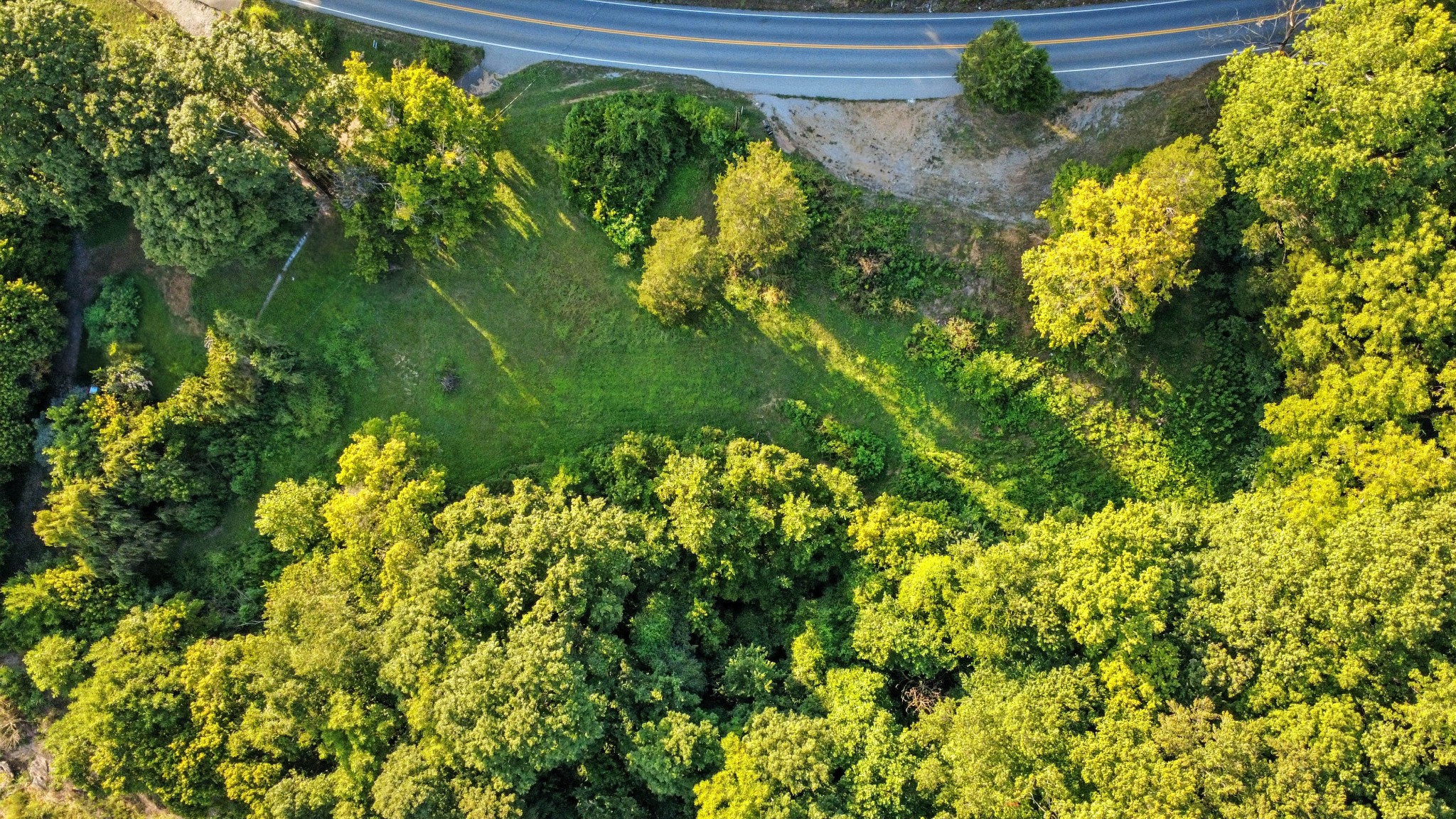 1986 Highway 76 Adams, TN 37010 - Photo 12 of 17 a view of a garden