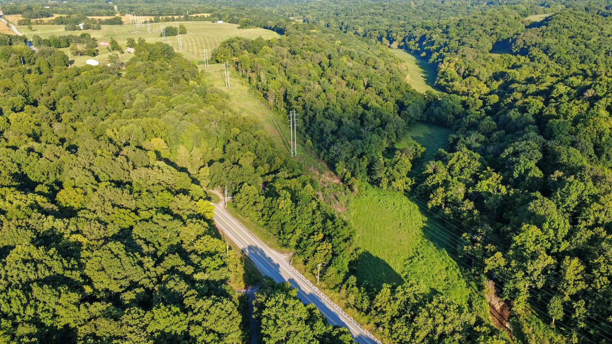 1986 Highway 76 Adams, TN 37010 - Photo 13 of 17 a view of a garden