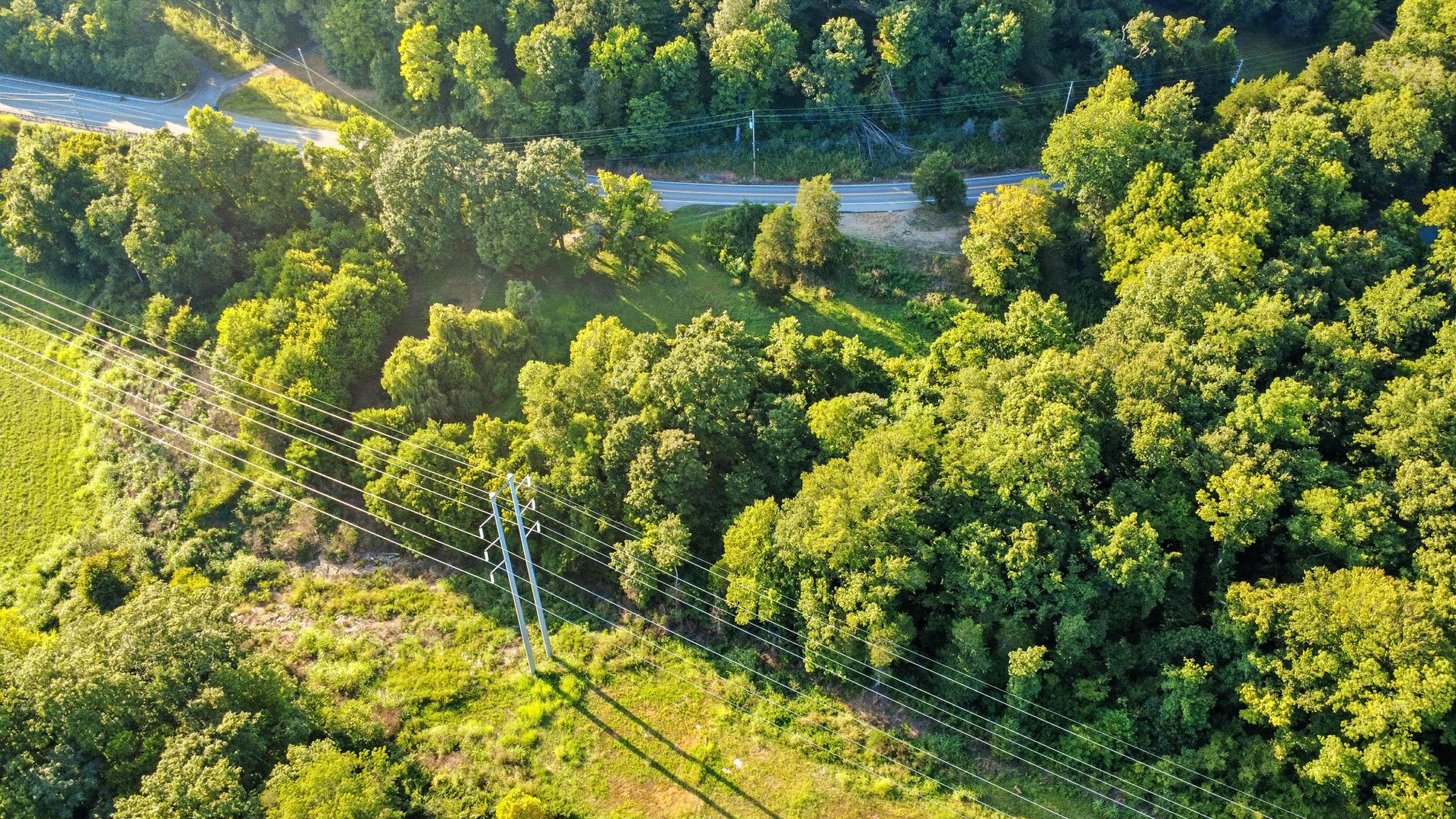 1986 Highway 76 Adams, TN 37010 - Photo 14 of 17 a view of a garden