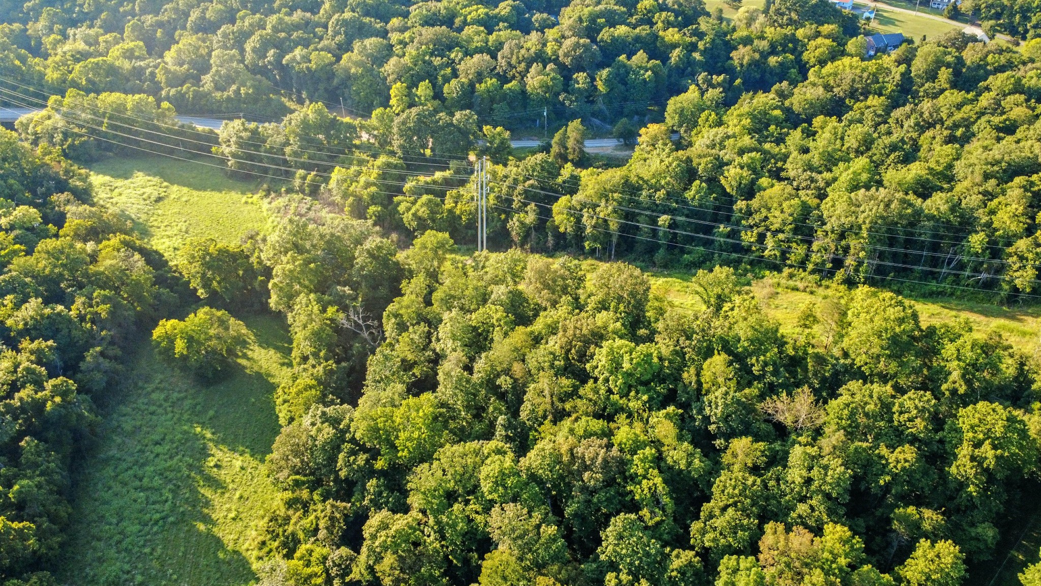 1986 Highway 76 Adams, TN 37010 - Photo 15 of 17 a view of a garden