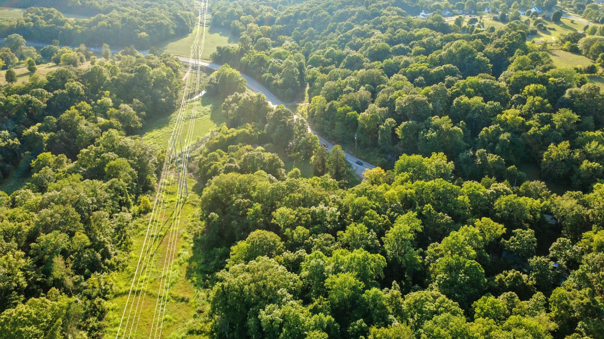 1986 Highway 76 Adams, TN 37010 - Photo 3 of 17 a view of a garden