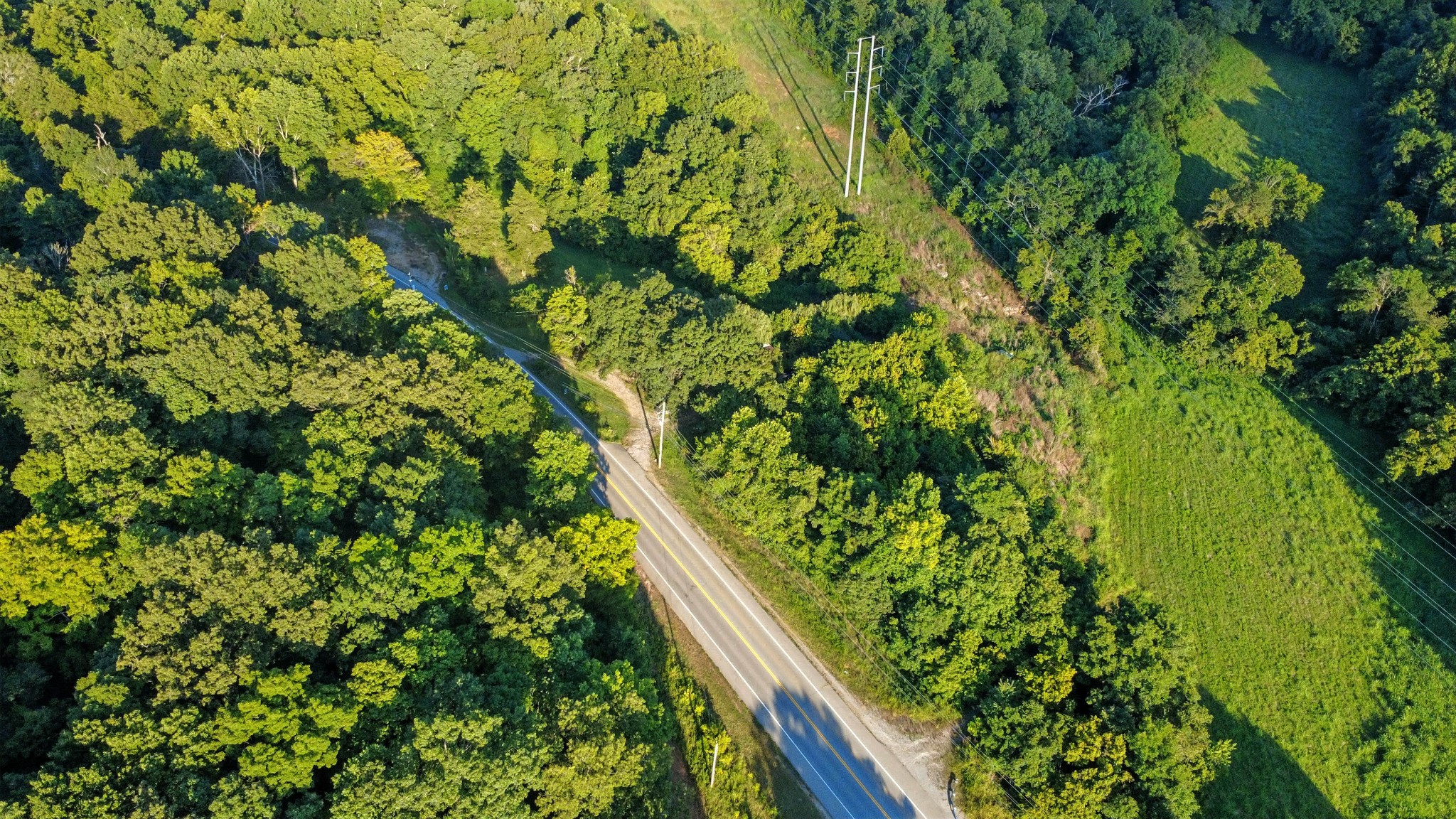 1986 Highway 76 Adams, TN 37010 - Photo 5 of 17