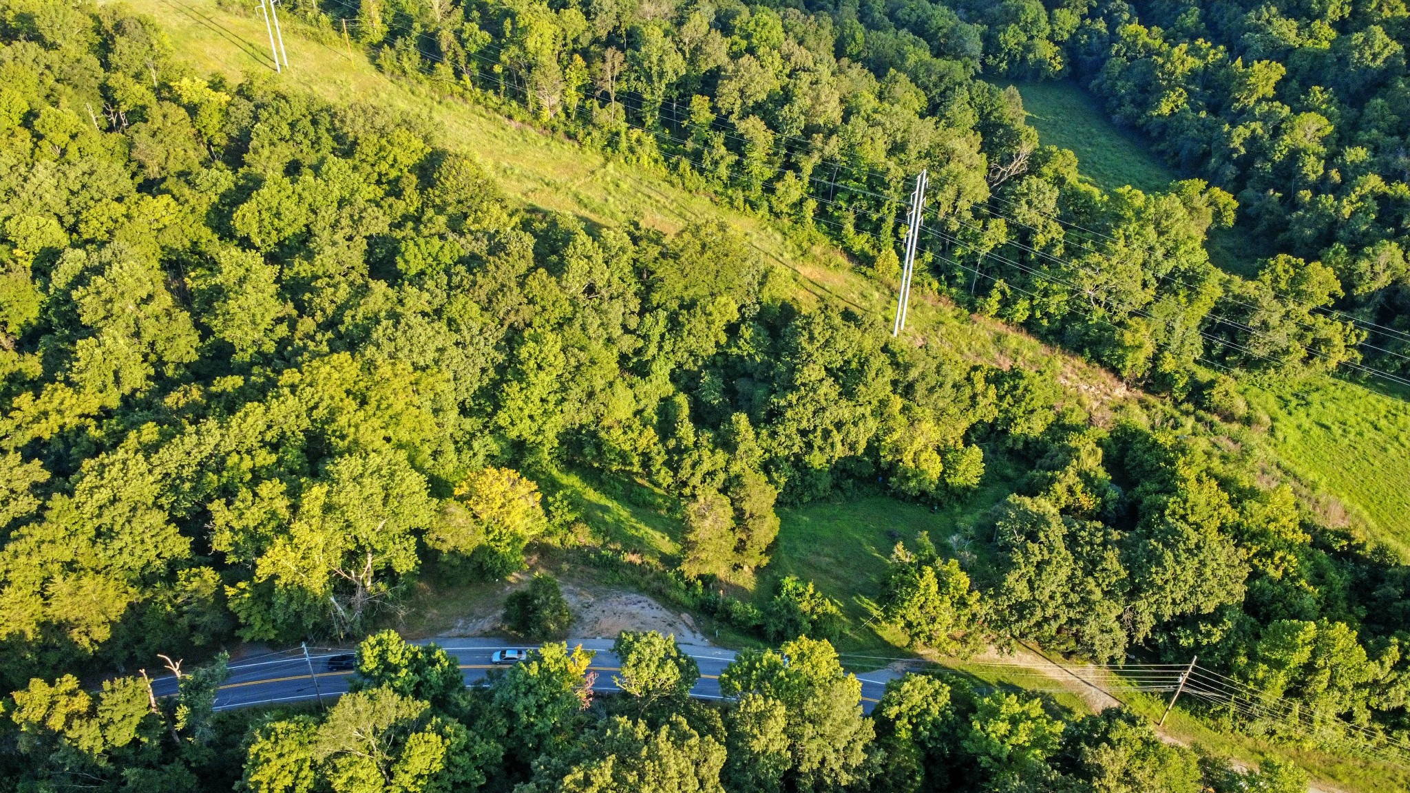1986 Highway 76 Adams, TN 37010 - Photo 6 of 17 a view of a garden