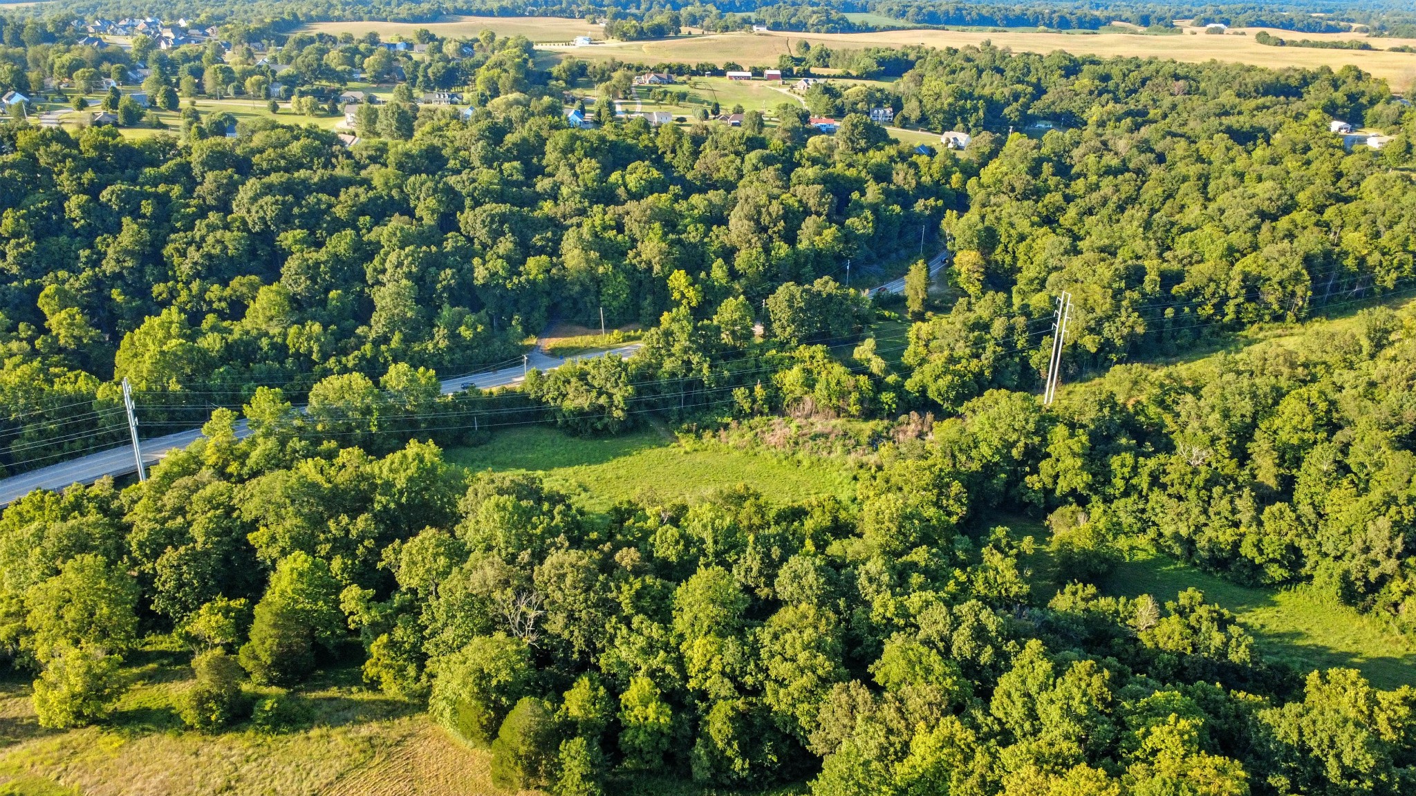 1986 Highway 76 Adams, TN 37010 - Photo 7 of 17 a view of a yard with plants