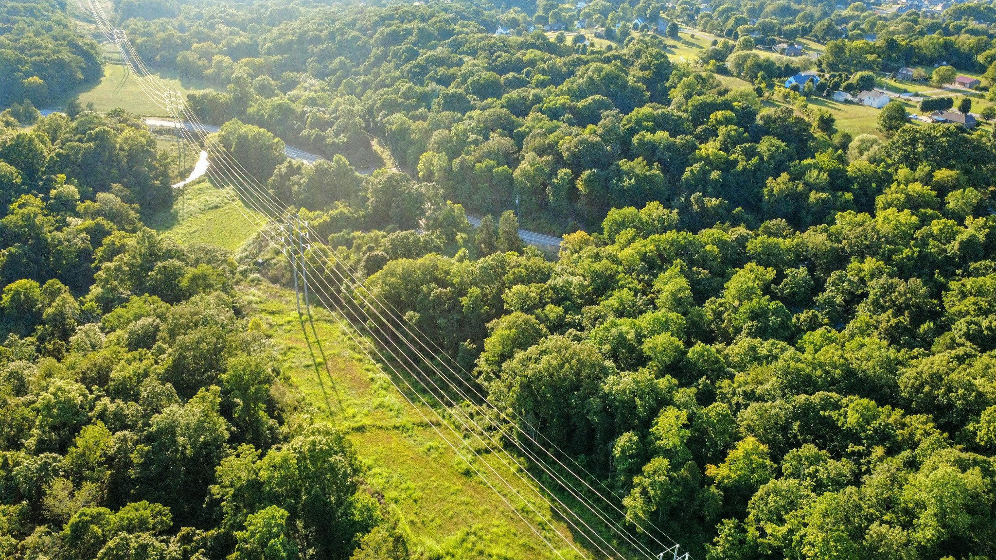 1986 Highway 76 Adams, TN 37010 - Photo 8 of 17 a view of a garden