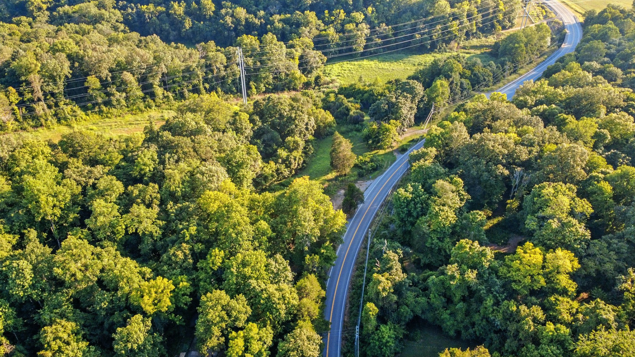 1986 Highway 76 Adams, TN 37010 - Photo 9 of 17 a view of a yard with a tree