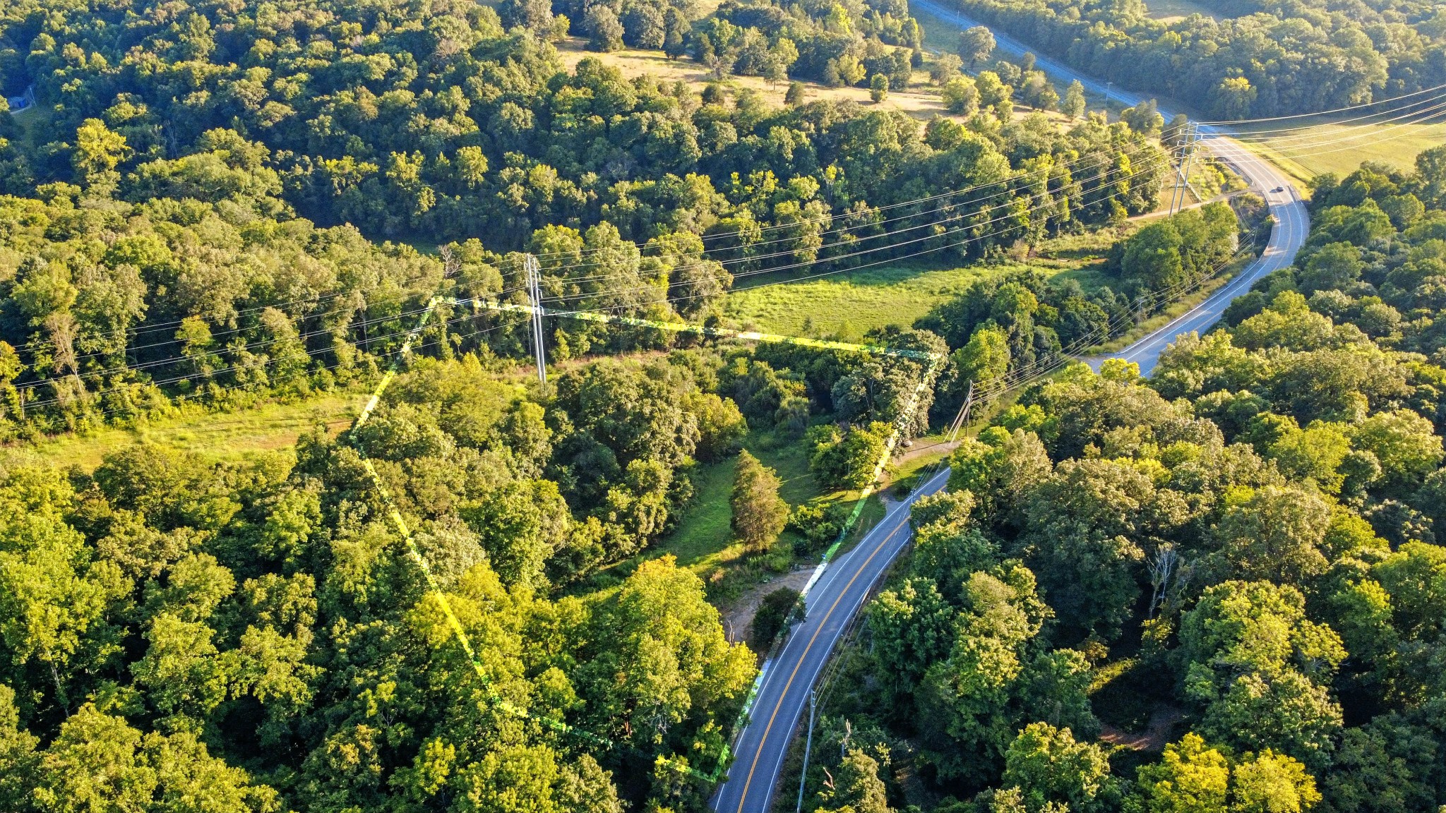 1986 Highway 76 Adams, TN 37010 - Photo 10 of 17 a view of a tree with a flower garden