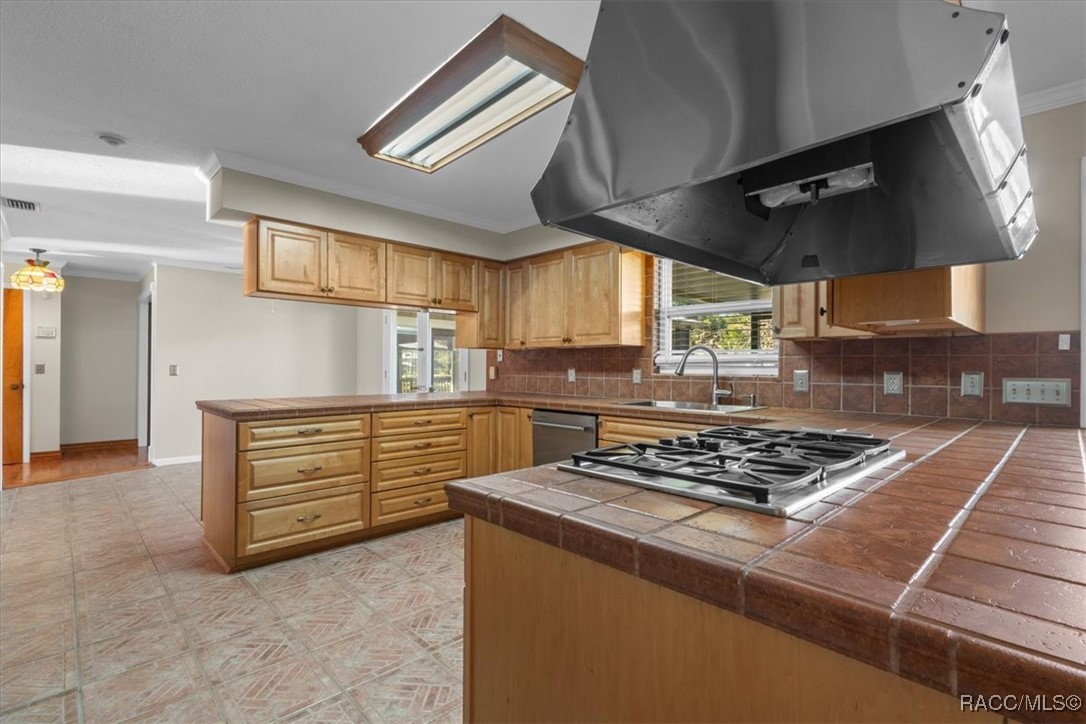 11588 North Caribee Point Inglis, FL 34449 - Photo 13 of 54