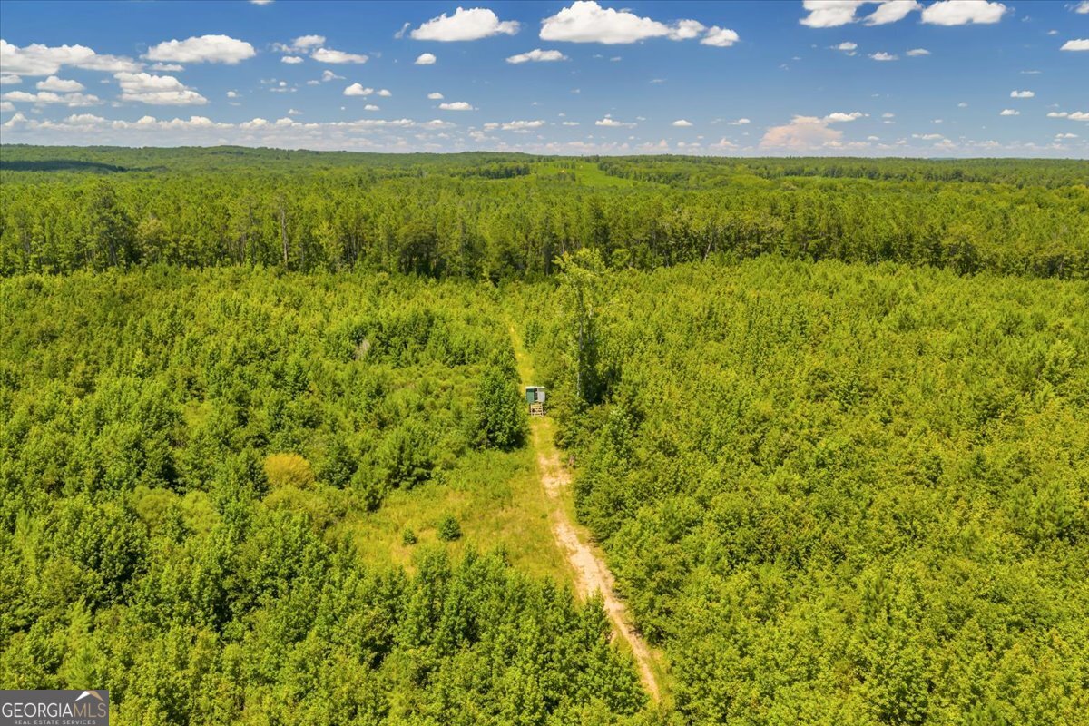 3442 Highway 83 Forsyth, GA 31029 - Photo 11 of 19 a view of an ocean from a yard