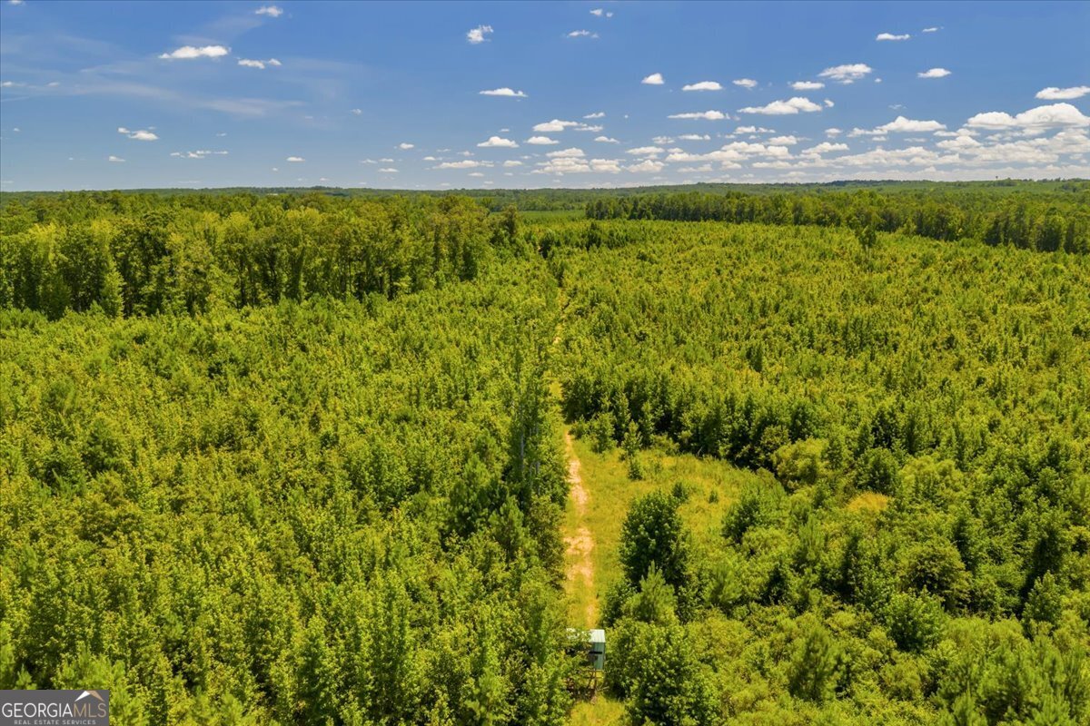3442 Highway 83 Forsyth, GA 31029 - Photo 12 of 19 a view of an outdoor space and a lake view