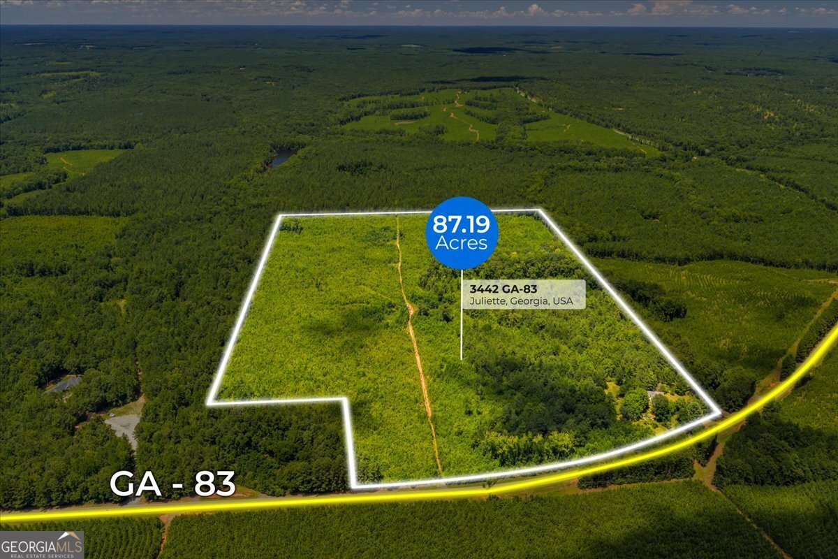 3442 Highway 83 Forsyth, GA 31029 - Photo 19 of 19 a view of a back yard