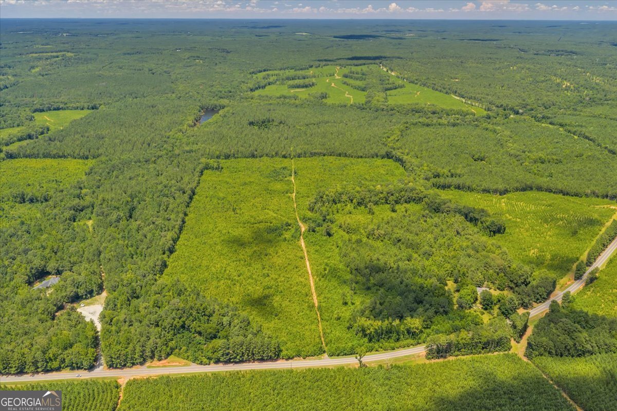 3442 Highway 83 Forsyth, GA 31029 - Photo 2 of 19 a view of a yard