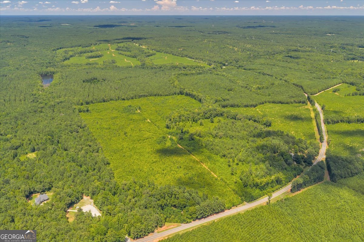 3442 Highway 83 Forsyth, GA 31029 - Photo 3 of 19 a view of a garden