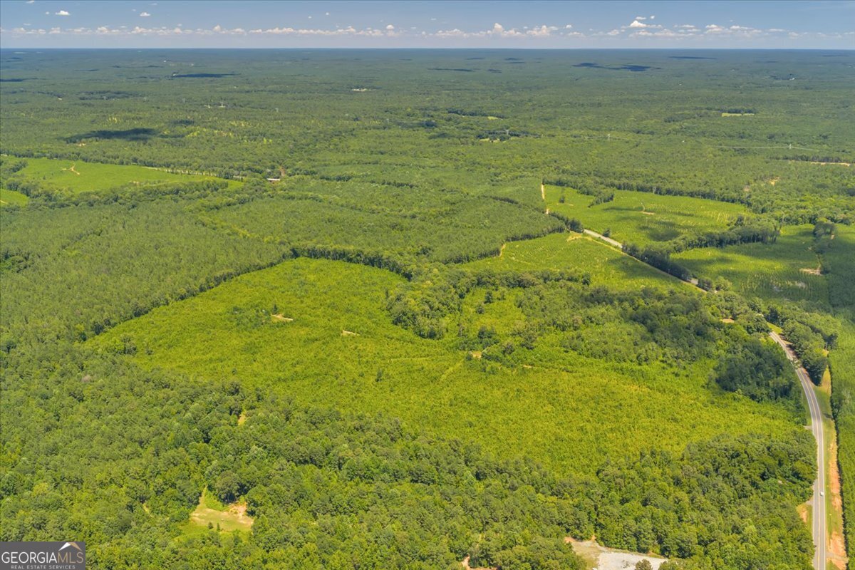 3442 Highway 83 Forsyth, GA 31029 - Photo 4 of 19 a view of an ocean