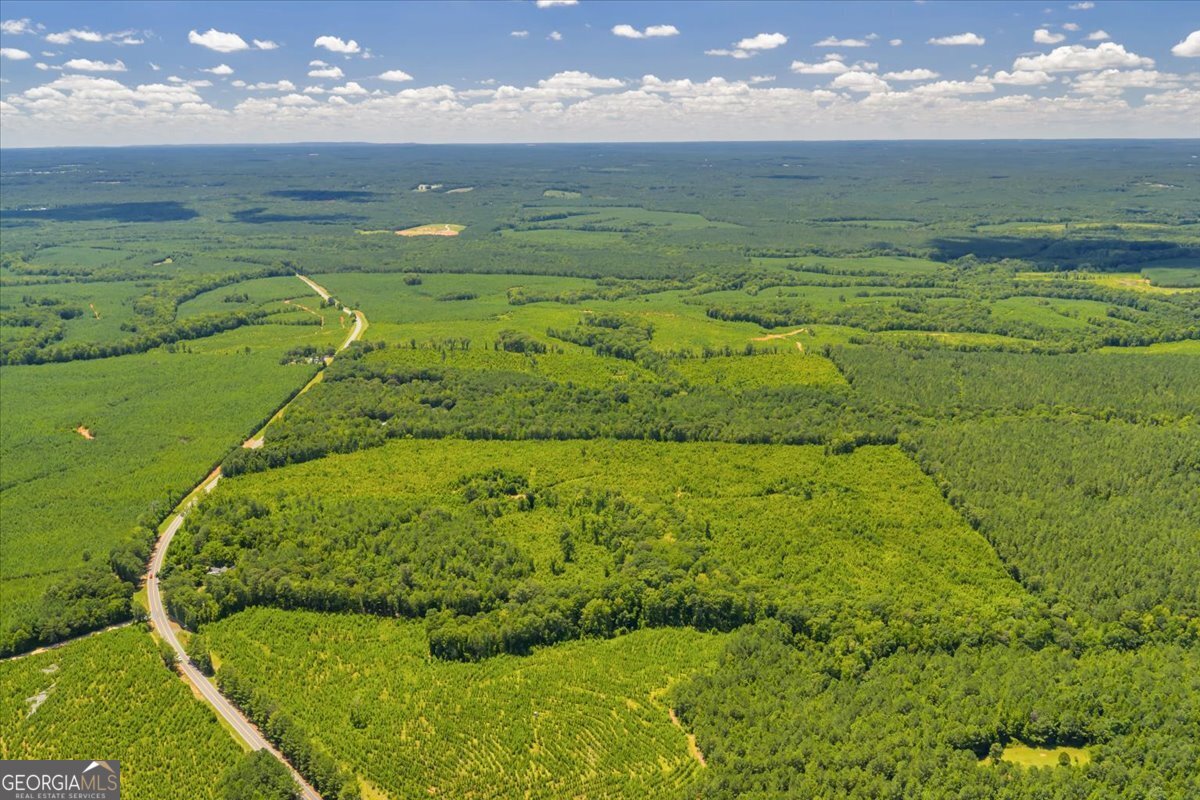 3442 Highway 83 Forsyth, GA 31029 - Photo 6 of 19 a view of an ocean and a yard